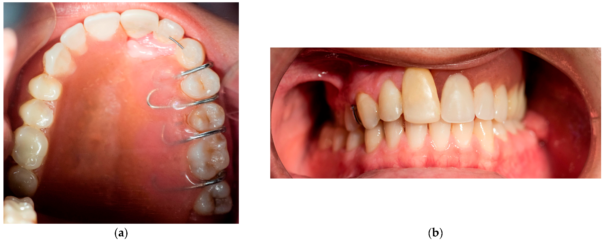 Reports 08 00122 g006