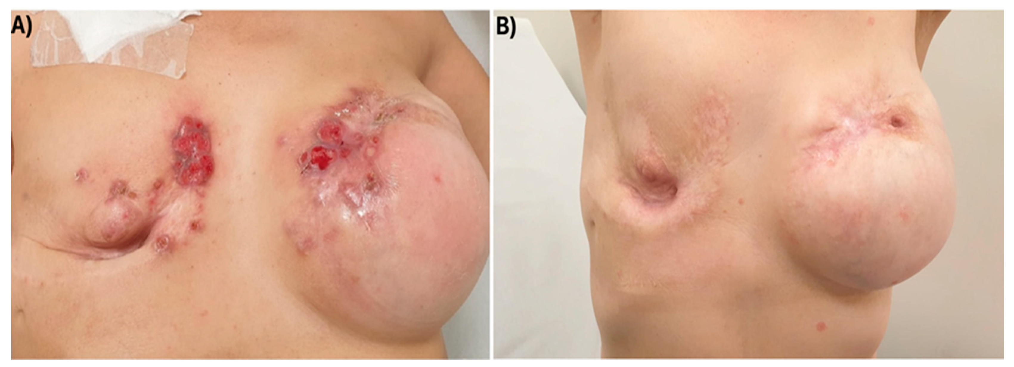 Reports 08 00126 g001