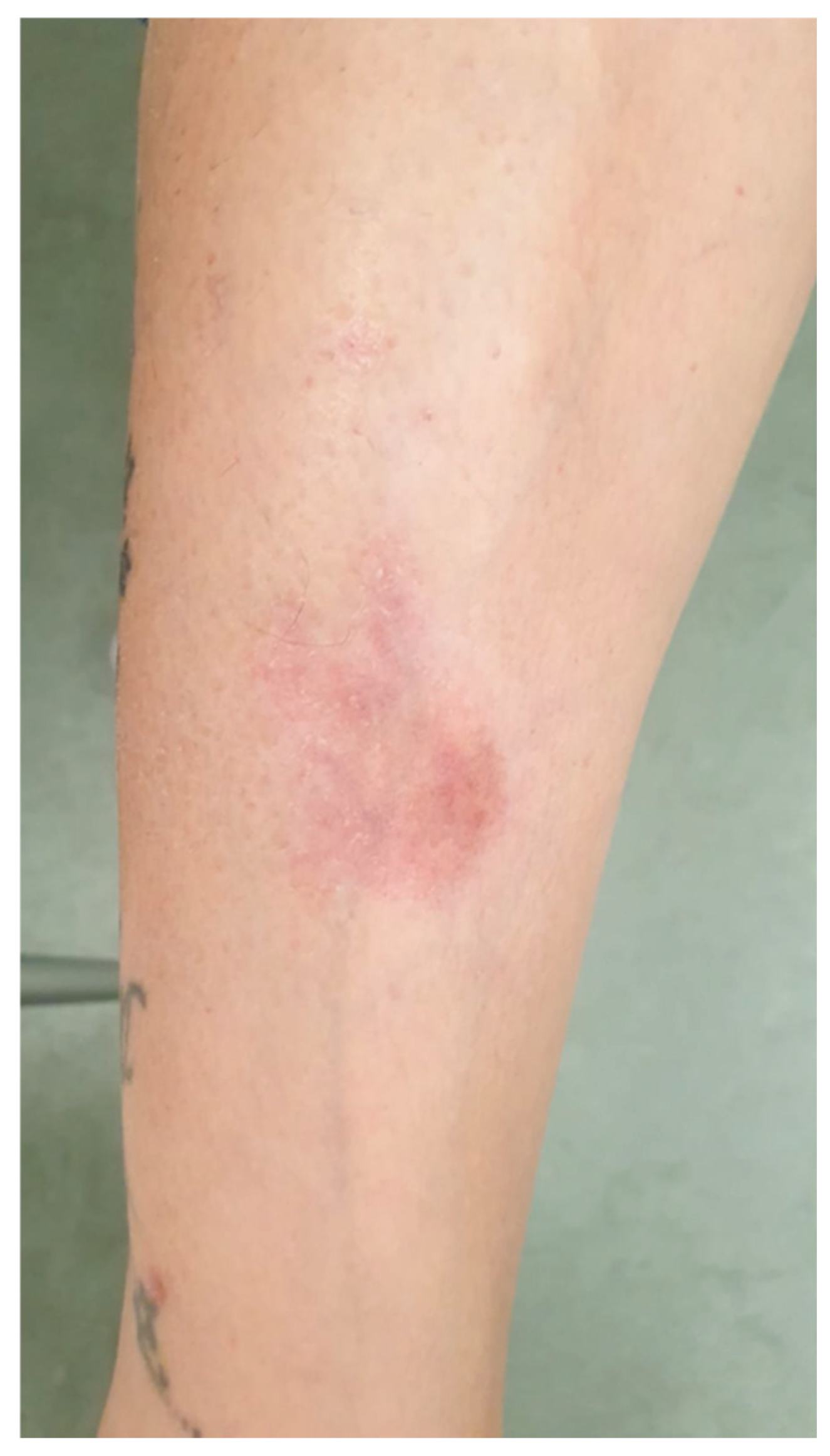 Reports 08 00126 g002