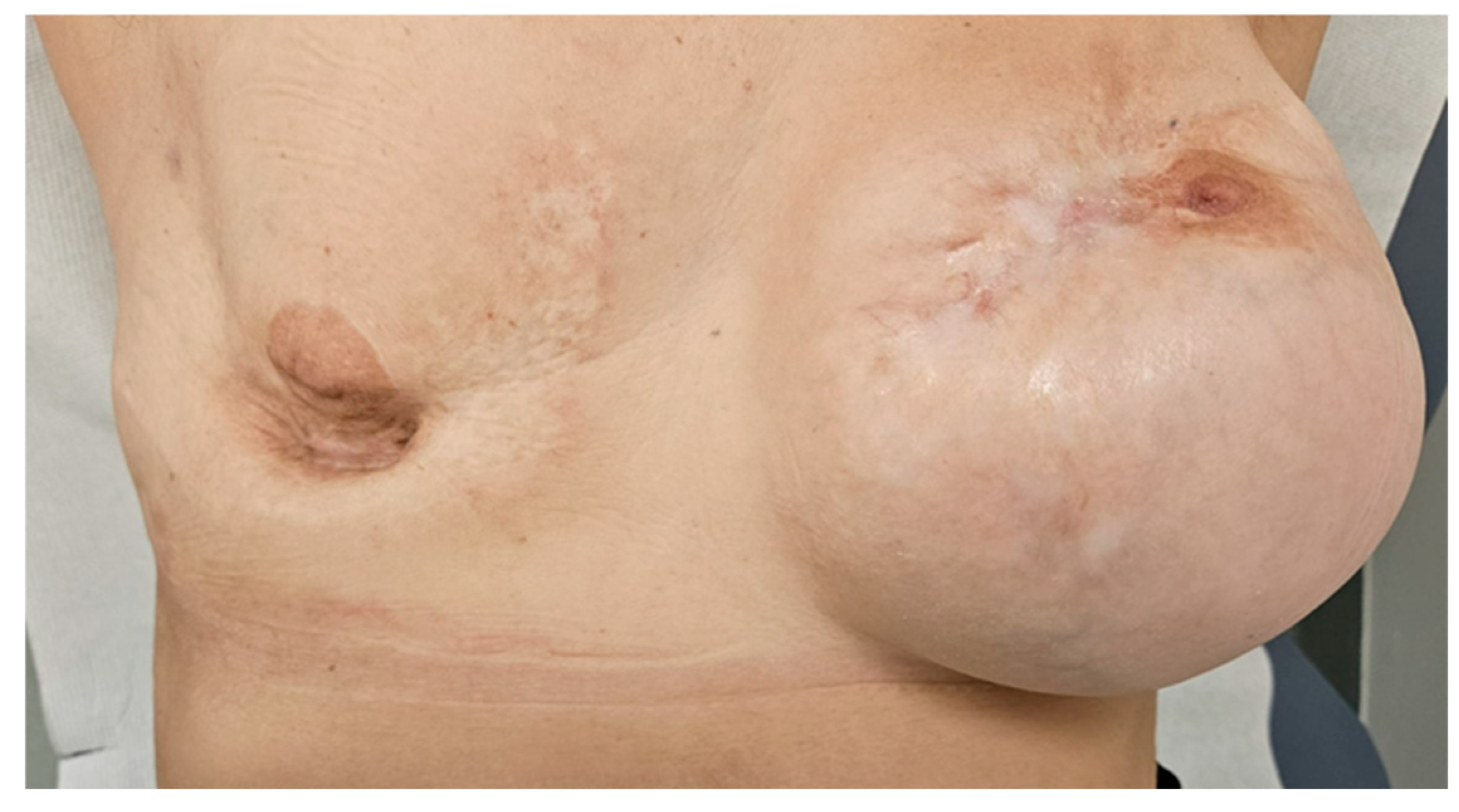 Reports 08 00126 g003