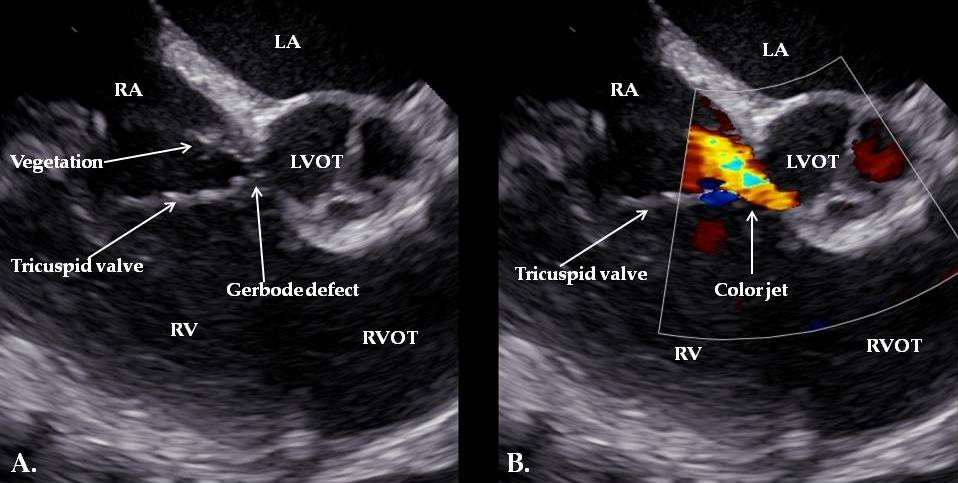 Reports 08 00127 g001