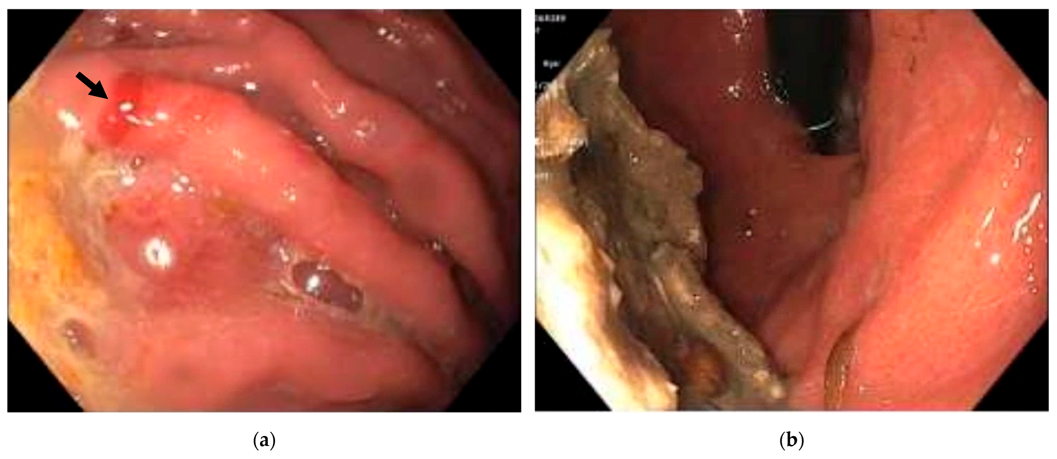 Reports 08 00128 g001