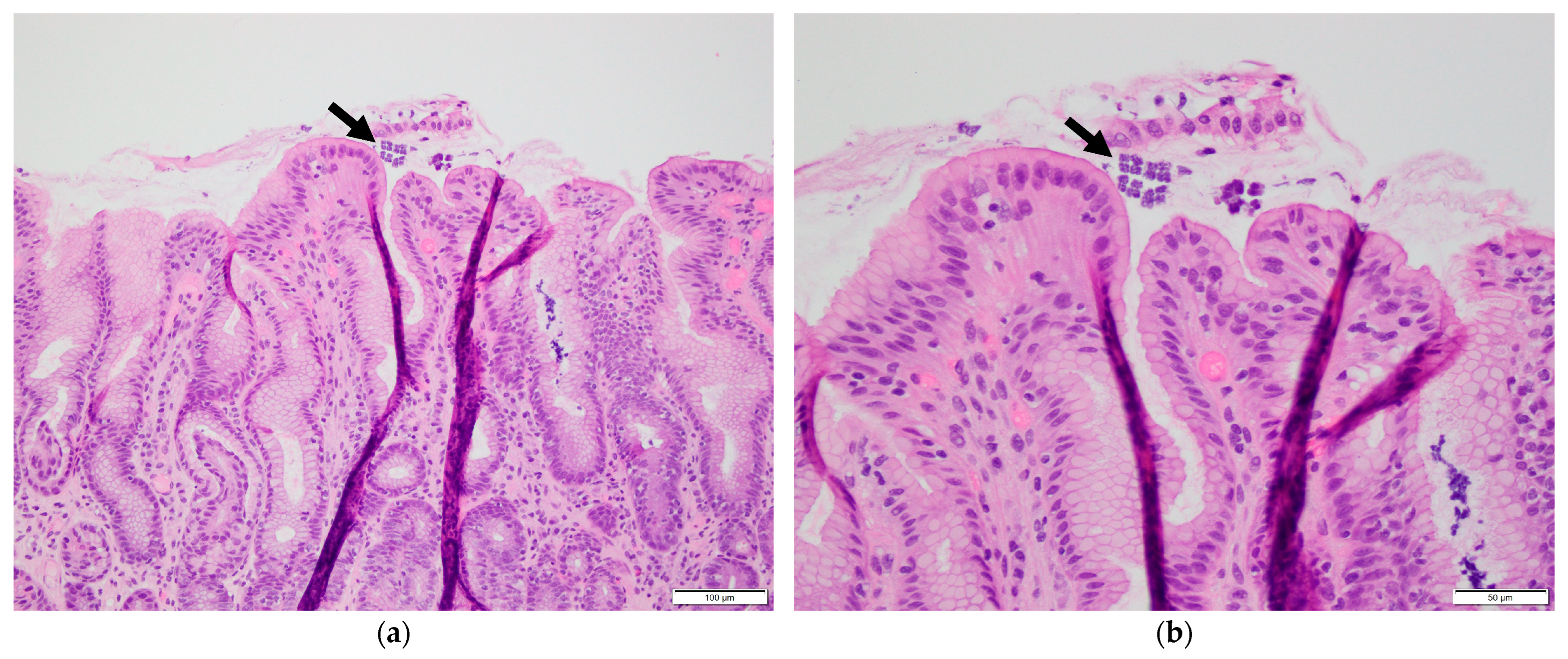 Reports 08 00128 g002