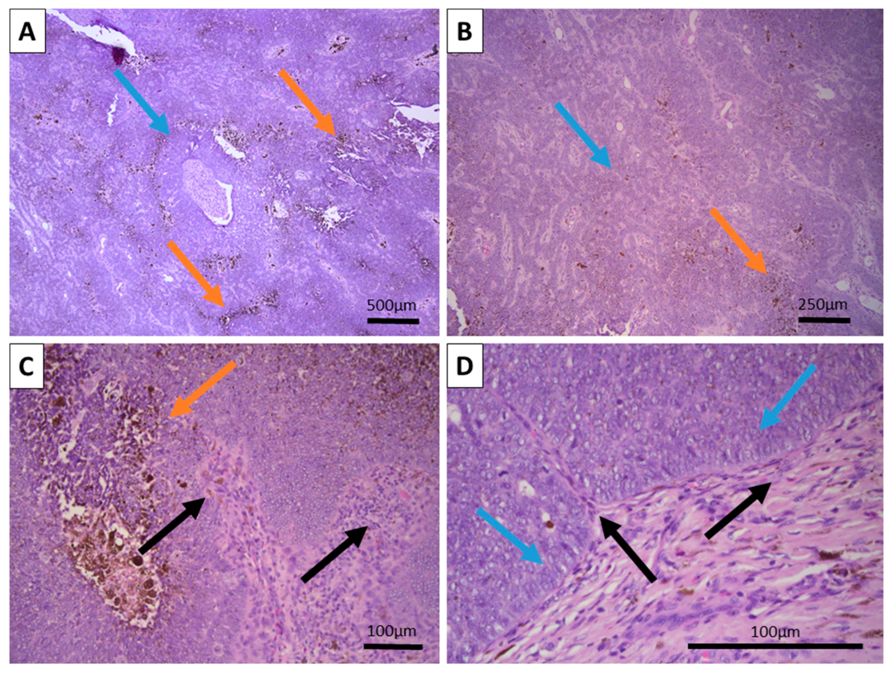 Reports 08 00130 g001