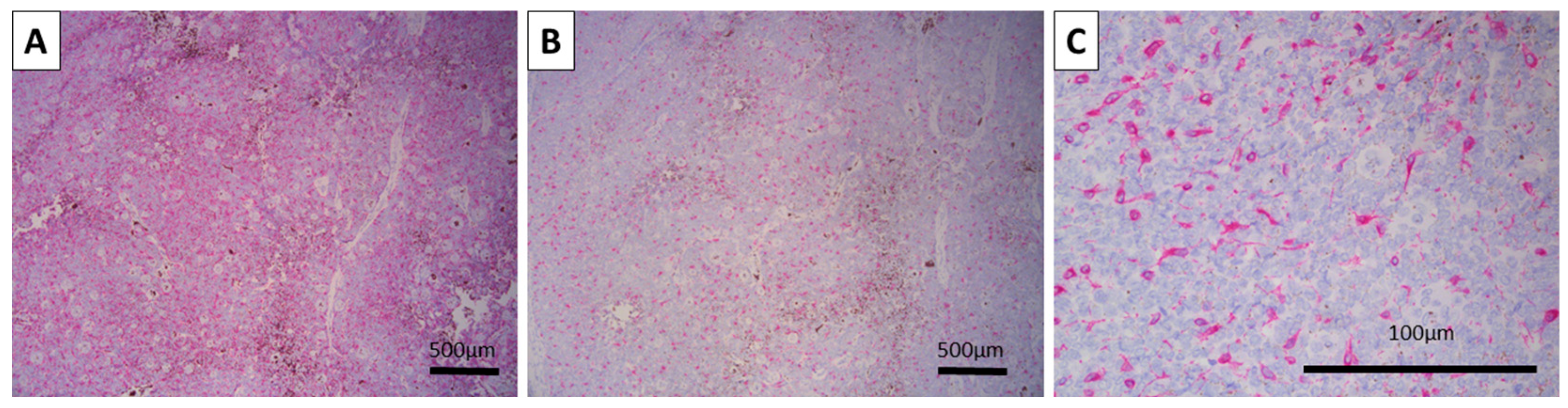 Reports 08 00130 g003