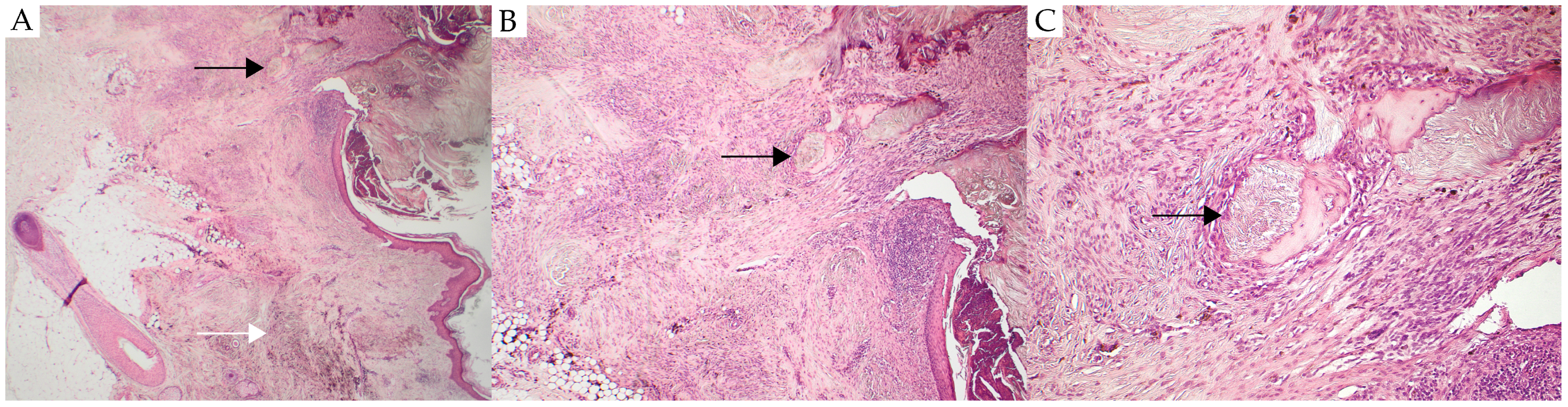 Reports 08 00139 g001