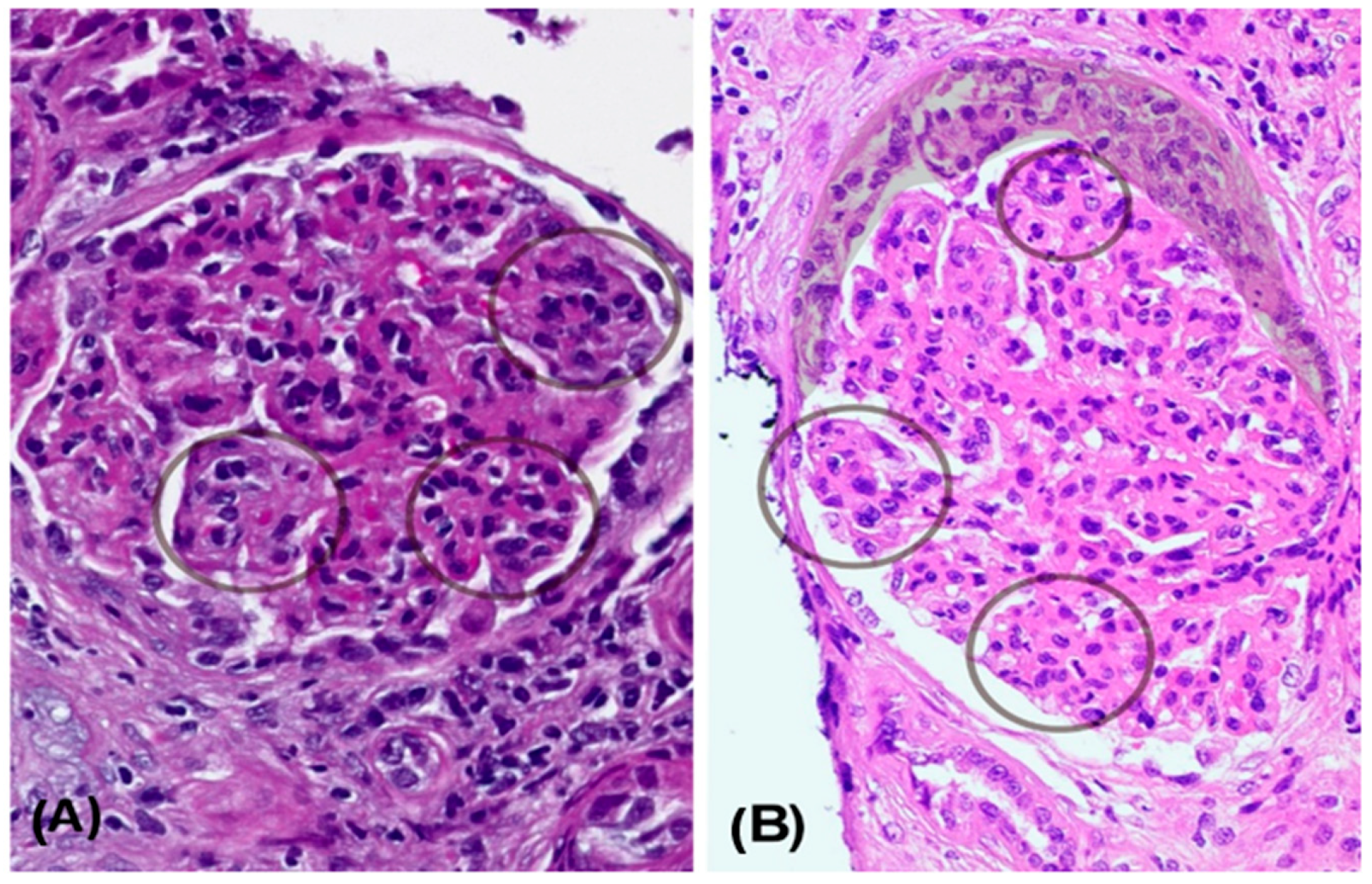 Reports 08 00141 g001