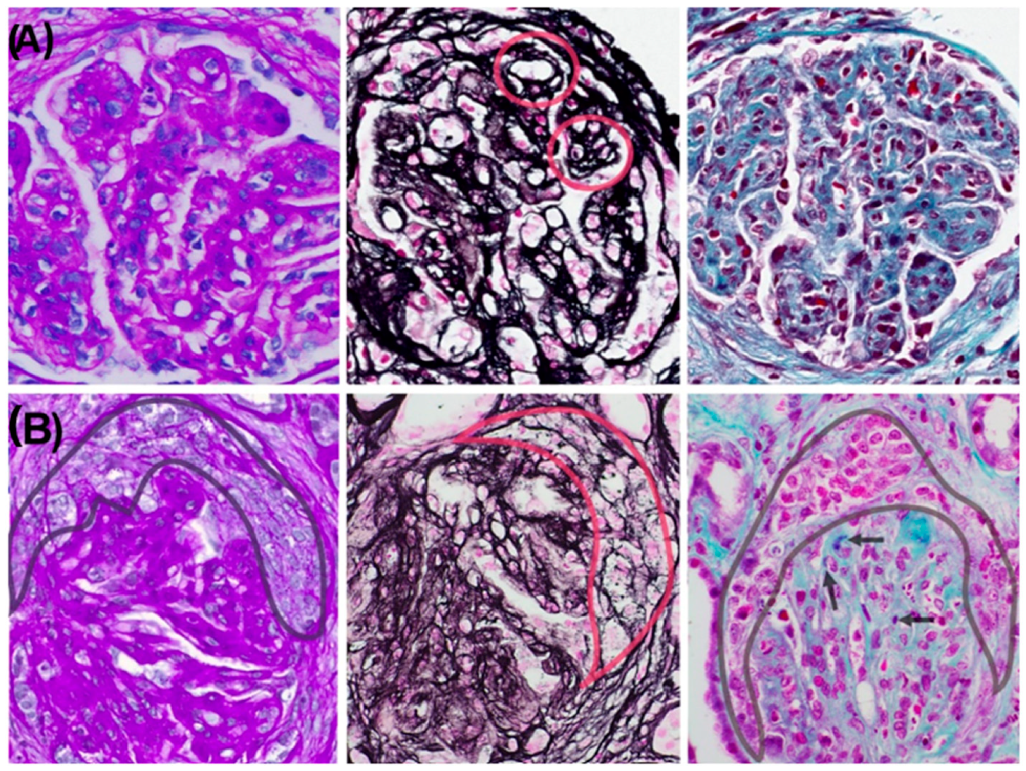 Reports 08 00141 g002