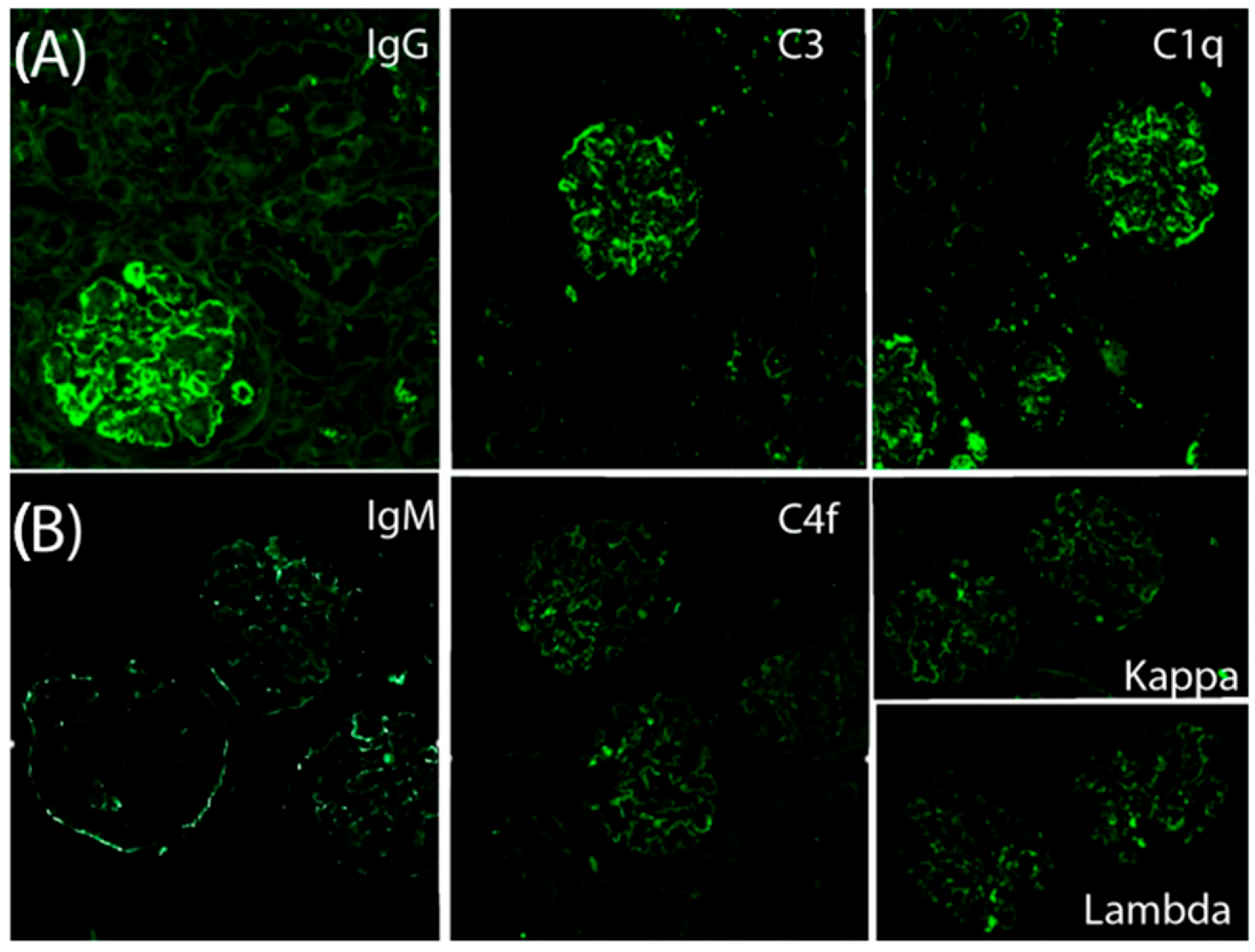 Reports 08 00141 g003