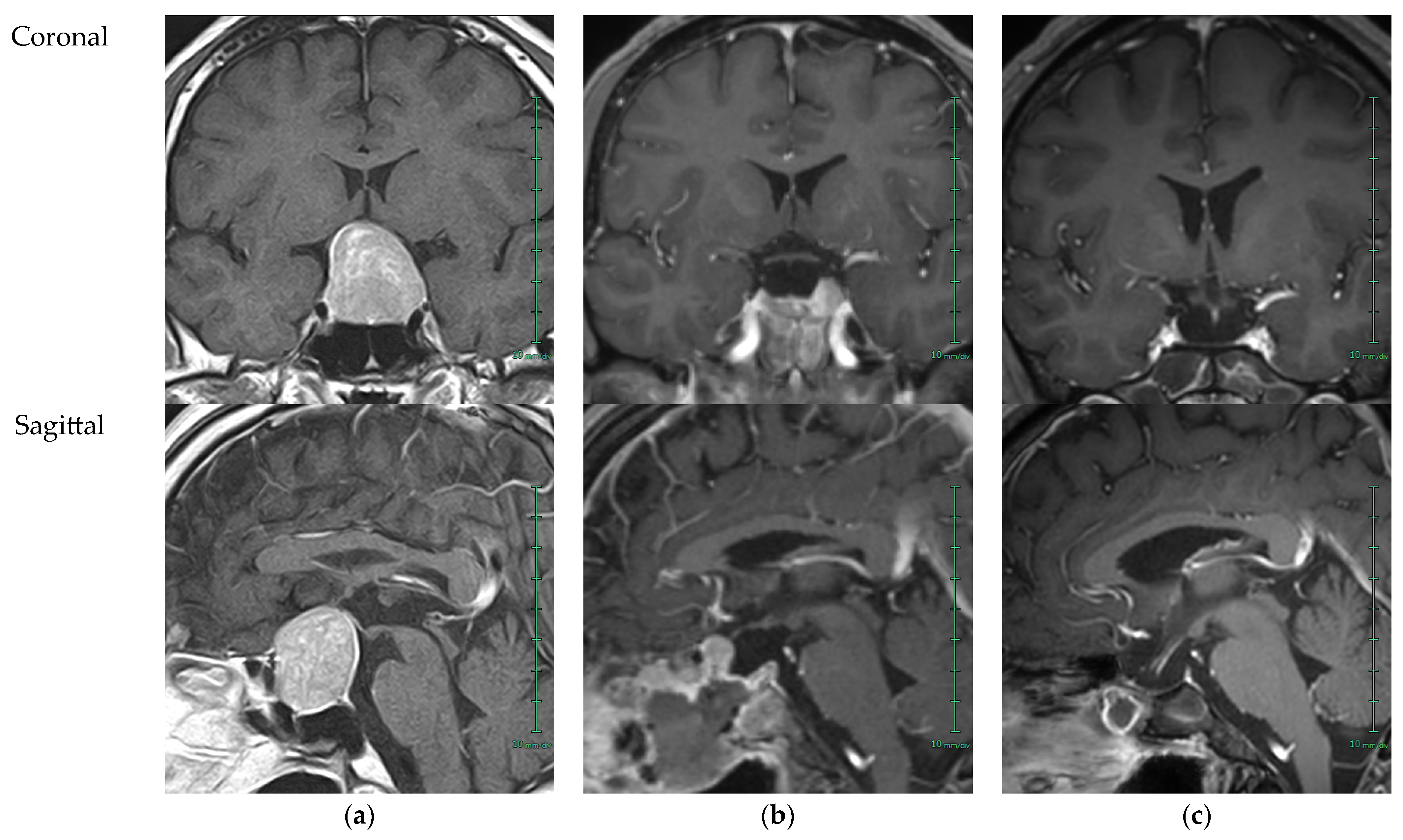 Reports 08 00144 g001 Reports 08 00144 g001