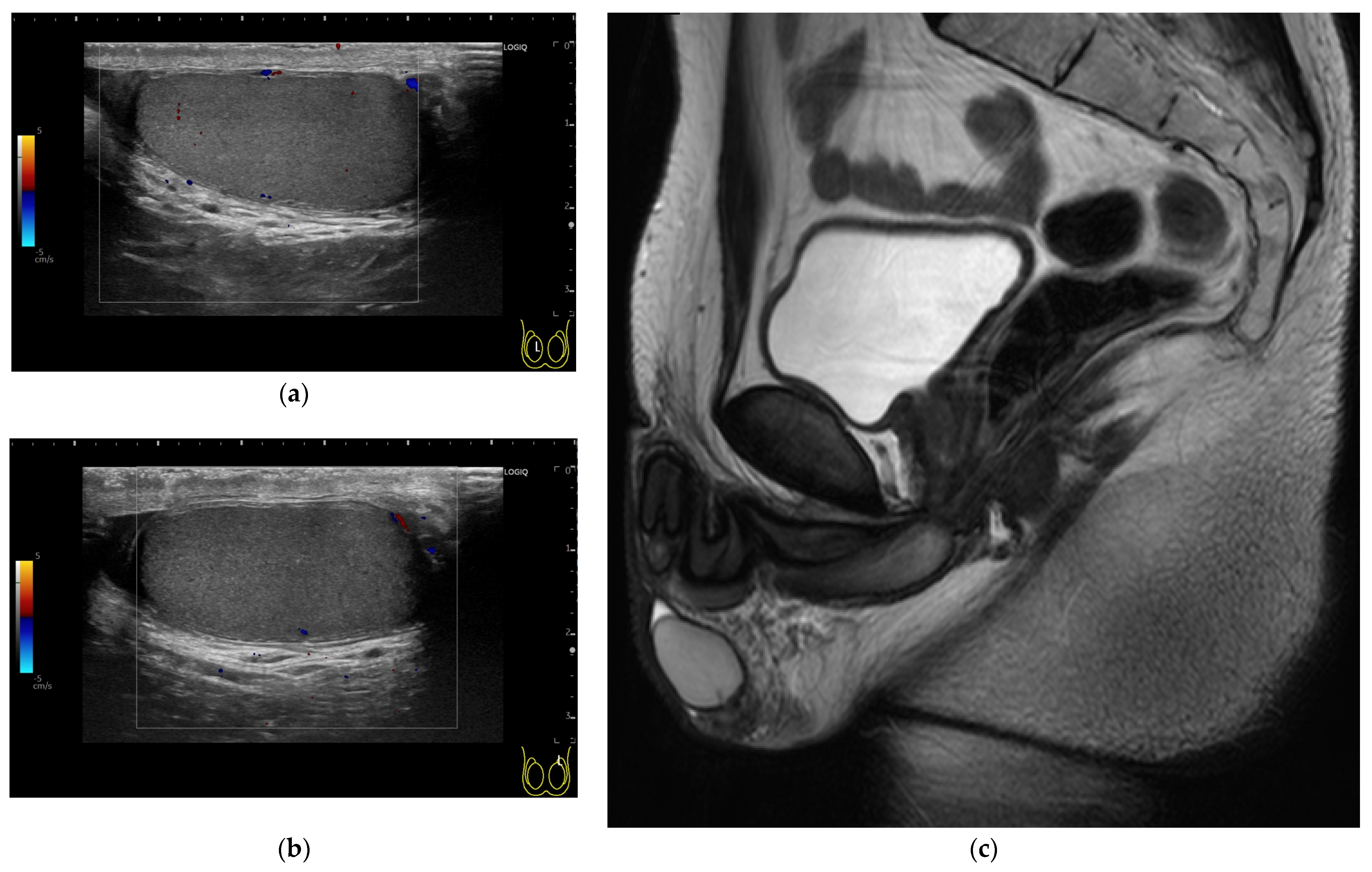 Reports 08 00144 g003 Reports 08 00144 g003