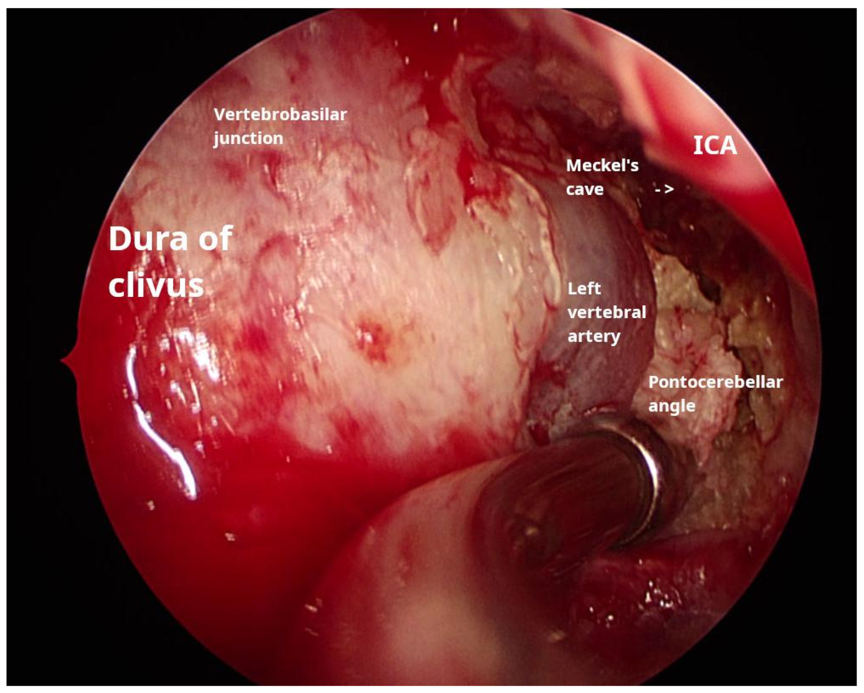 Reports 08 00148 g002