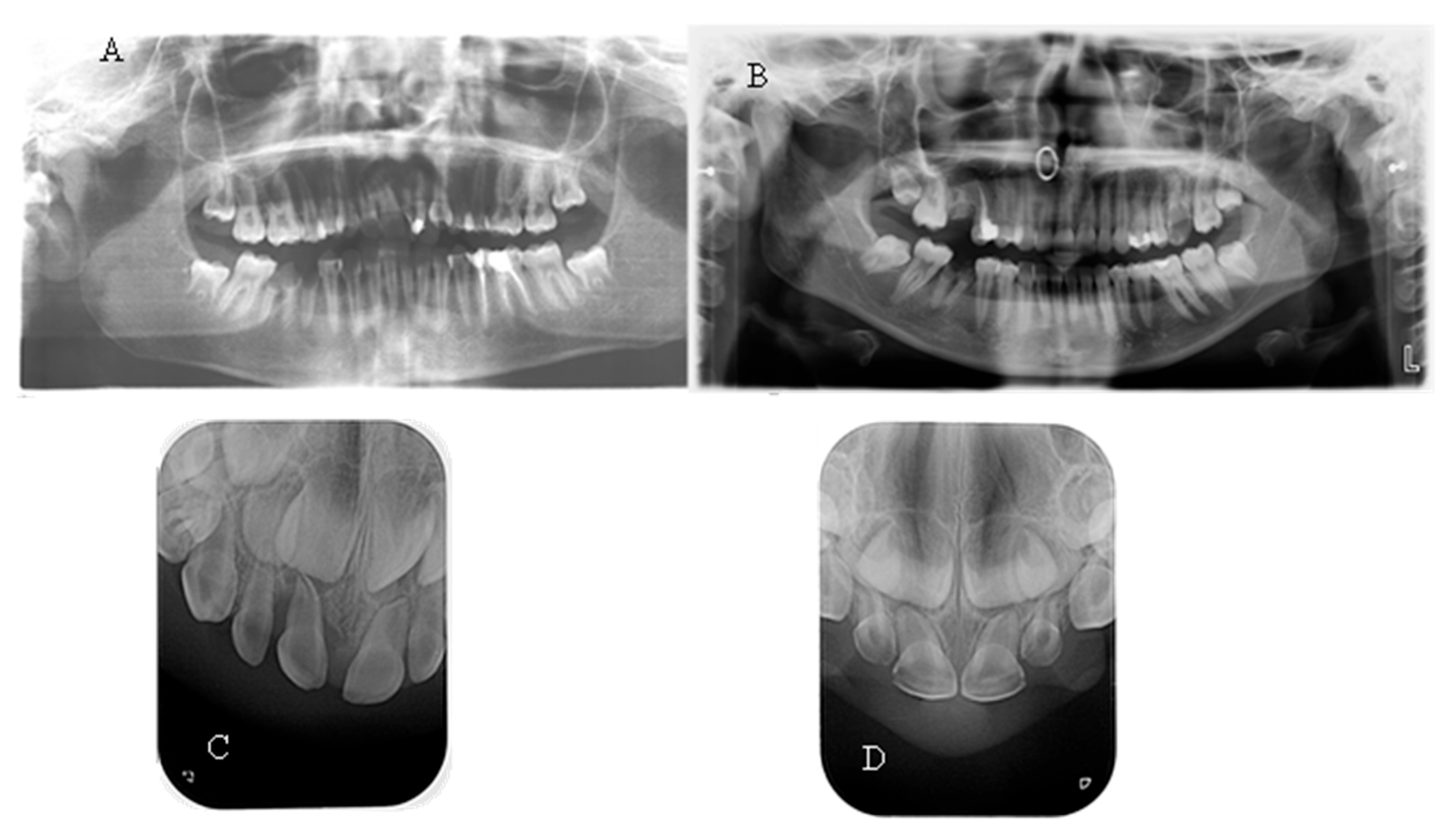 Reports 08 00151 g003