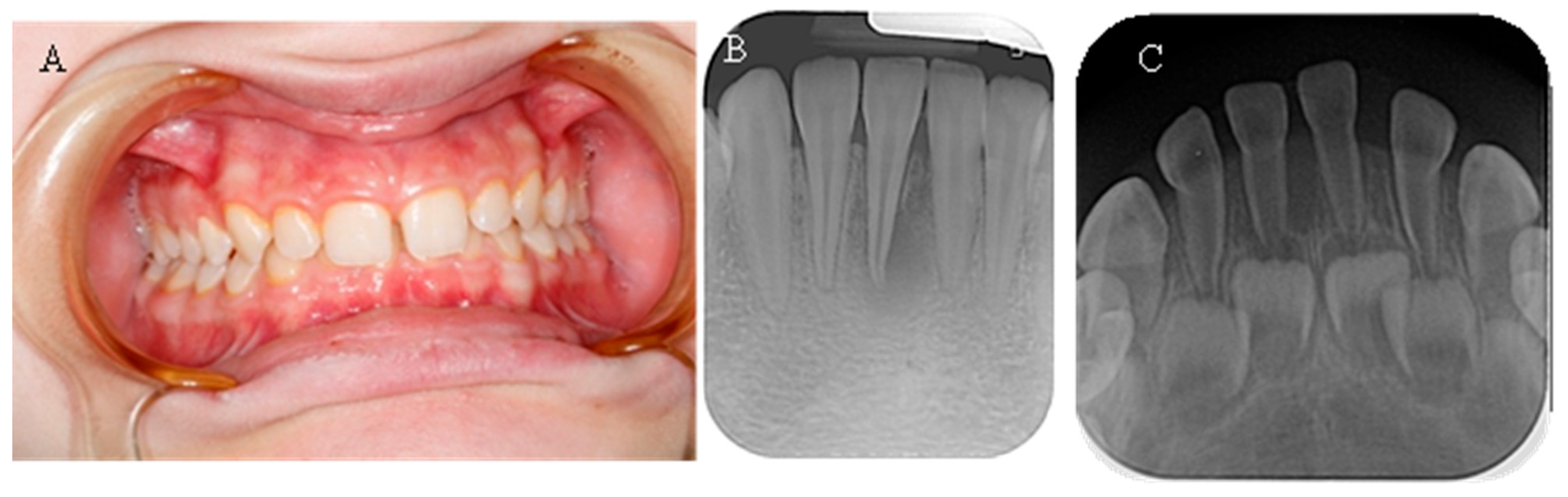 Reports 08 00151 g004