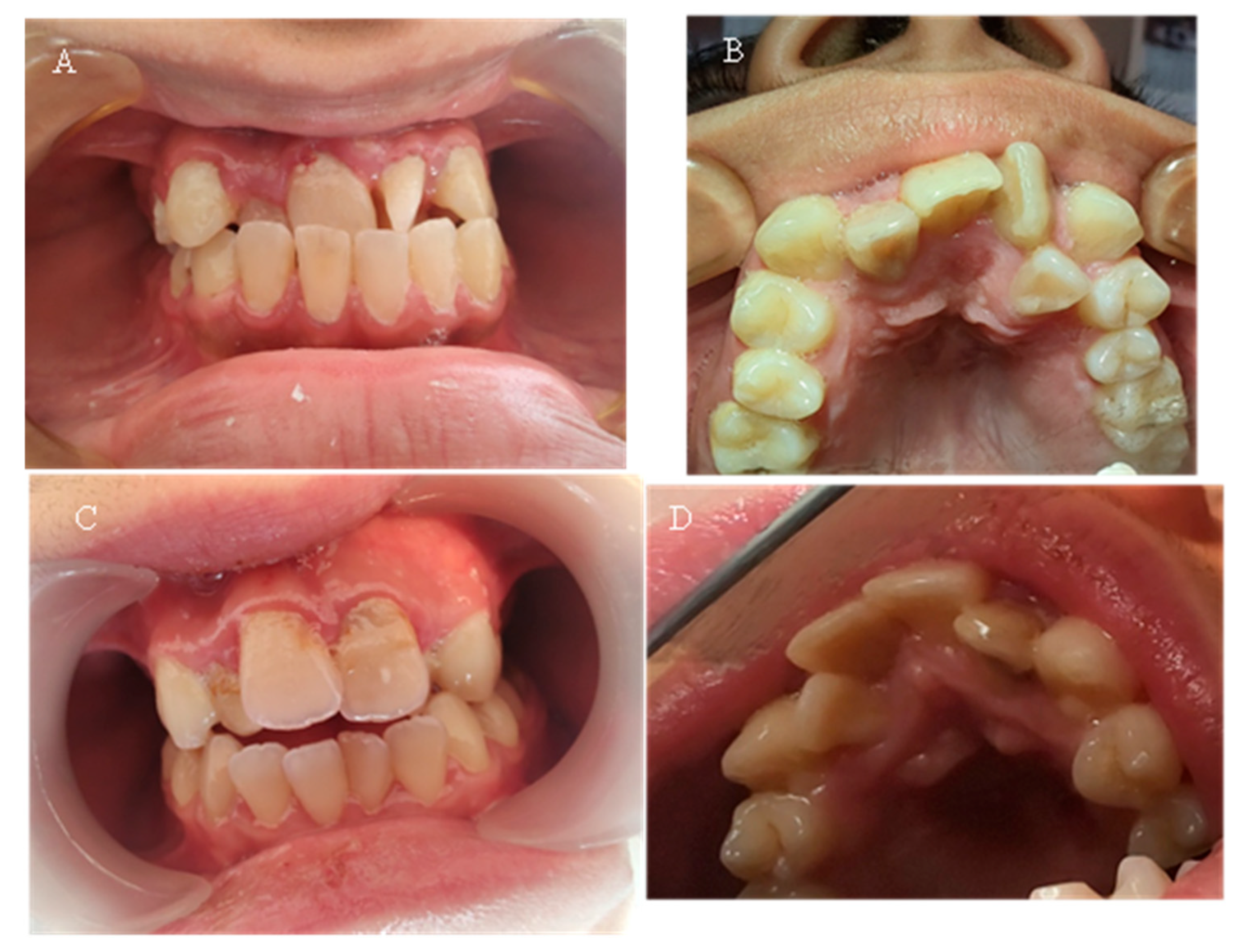 Reports 08 00151 g005