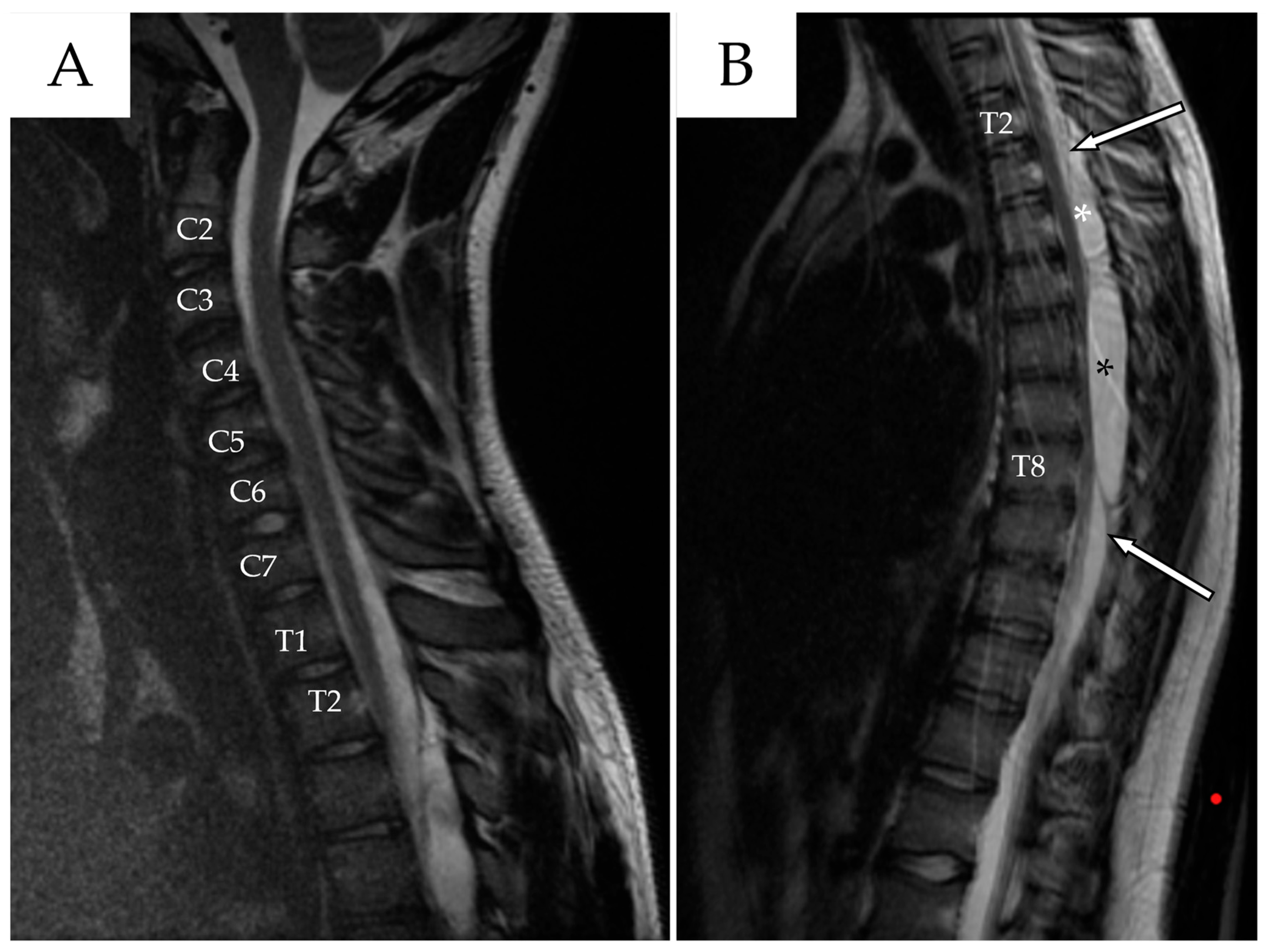 Reports 08 00152 g001