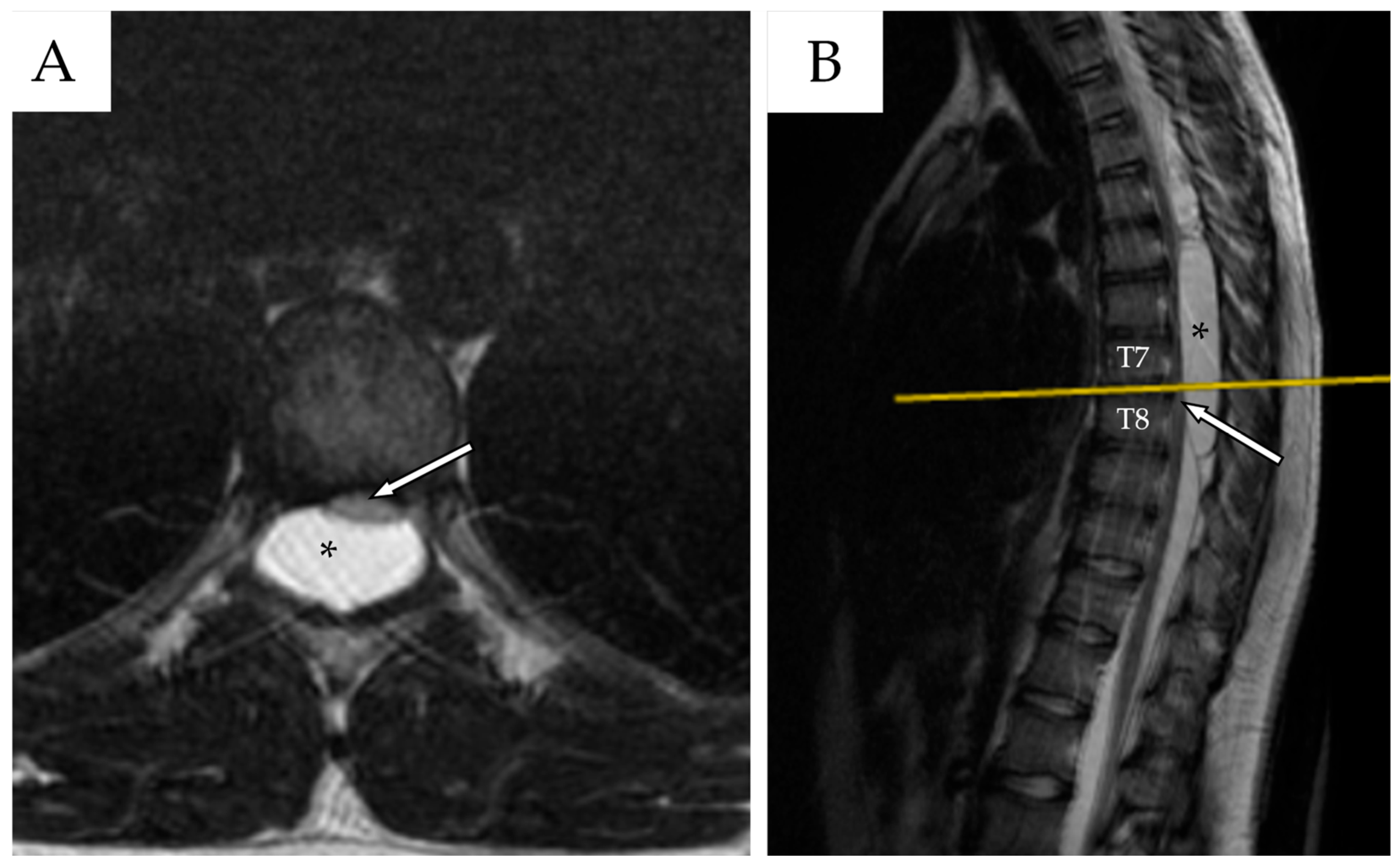 Reports 08 00152 g002