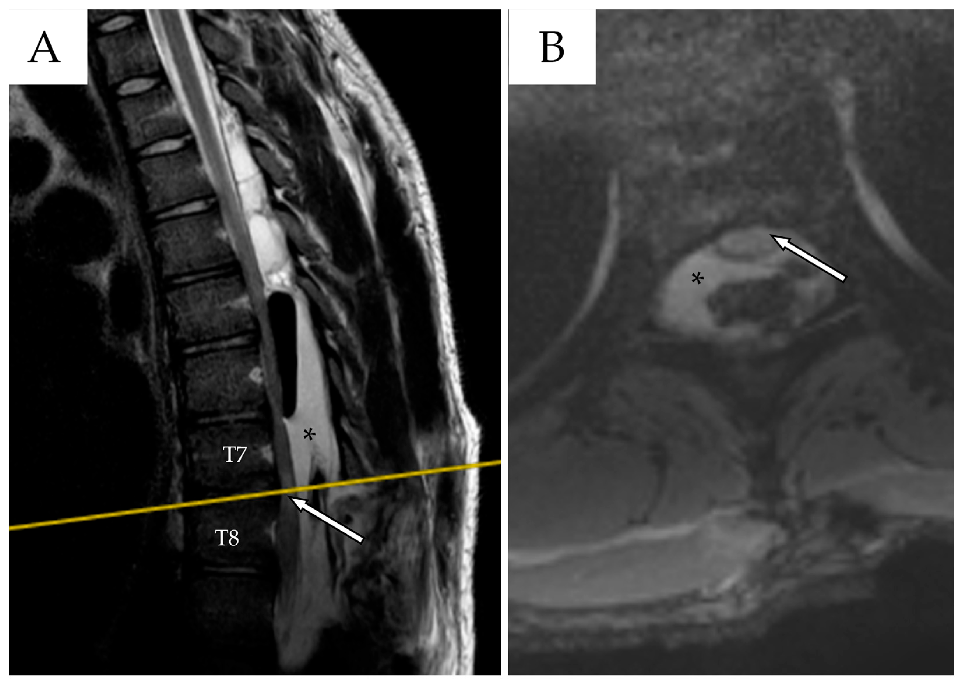 Reports 08 00152 g003