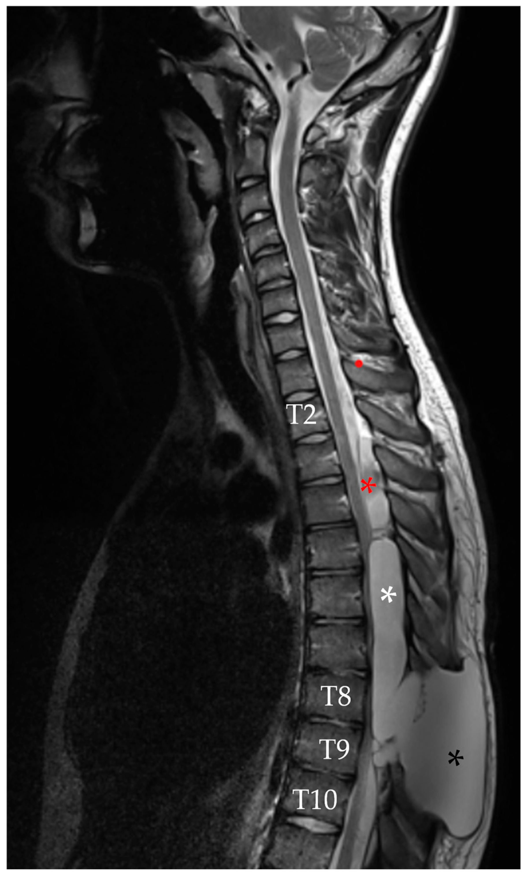 Reports 08 00152 g004