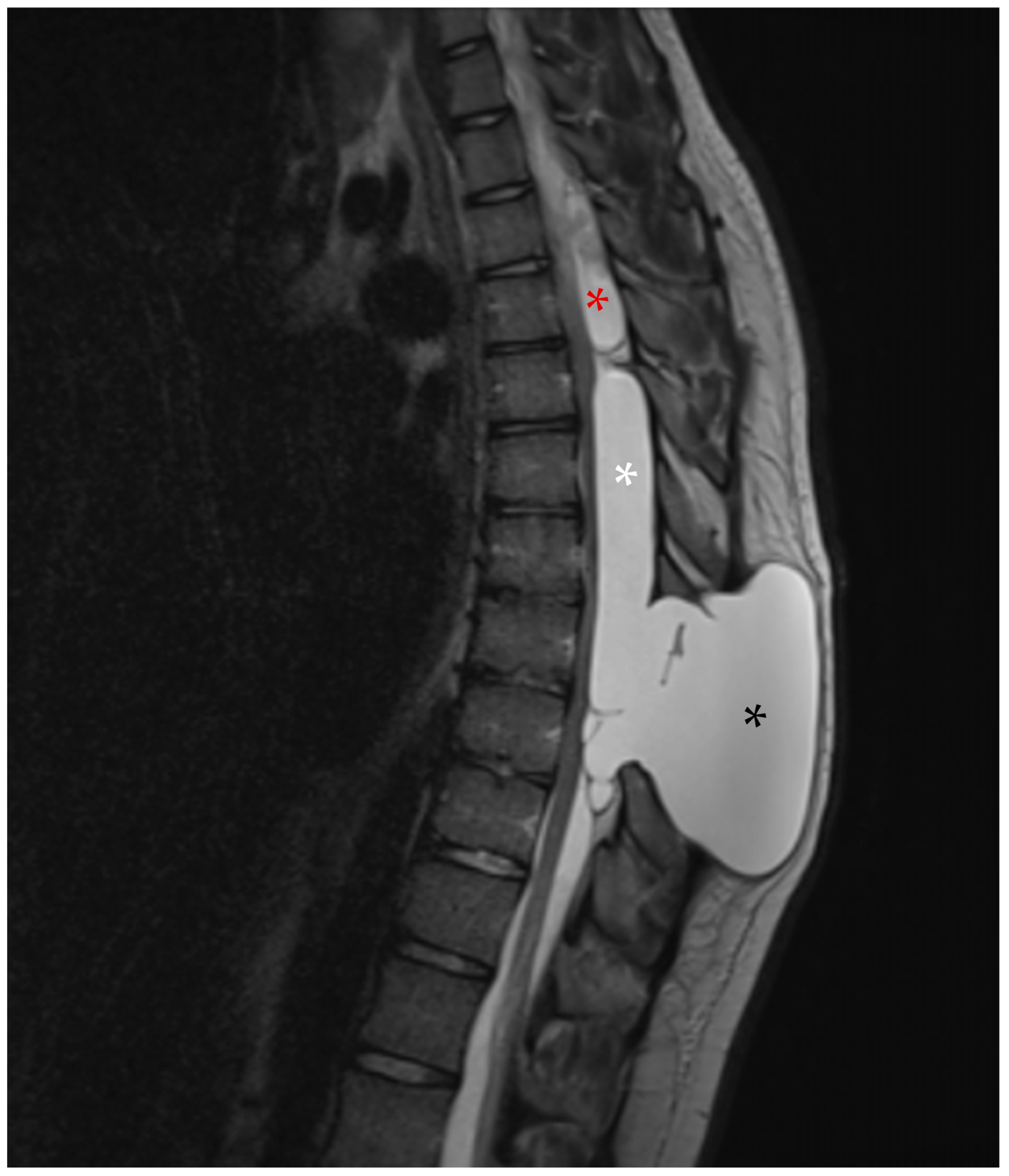 Reports 08 00152 g005