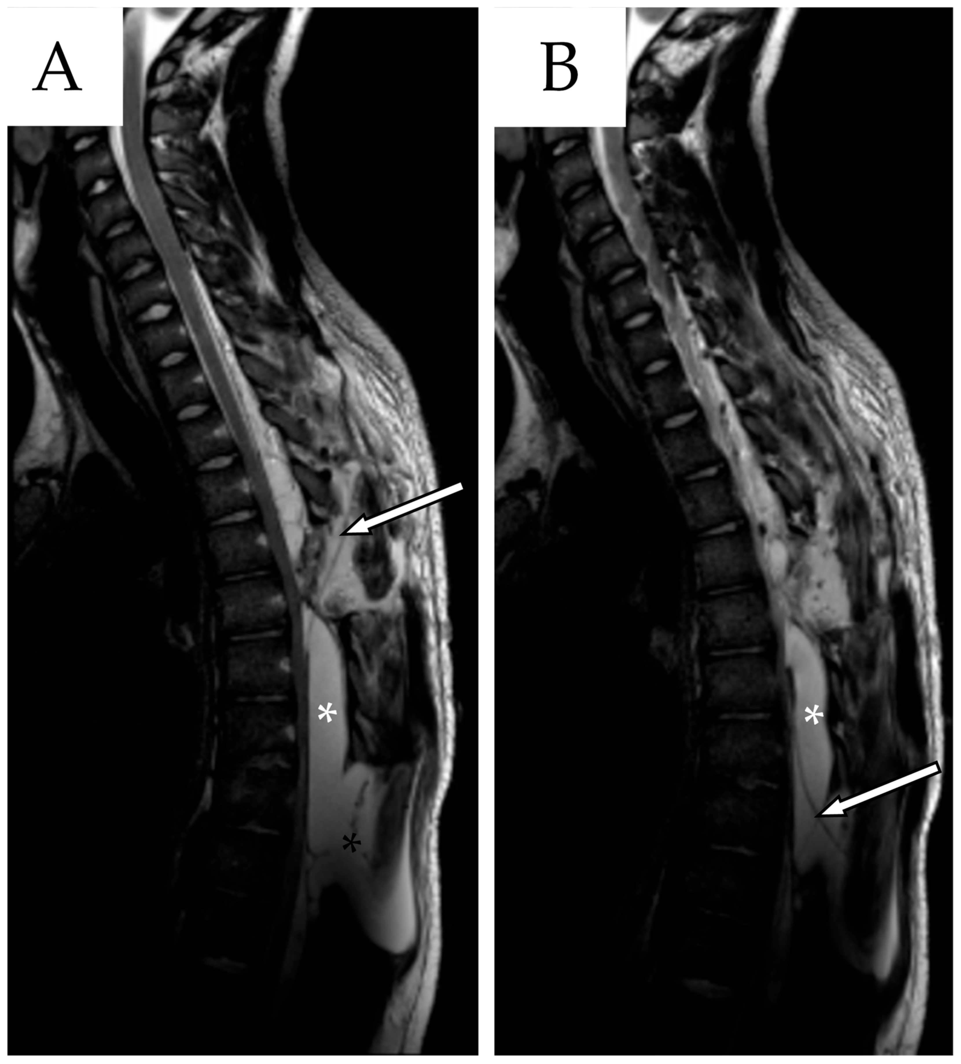 Reports 08 00152 g006