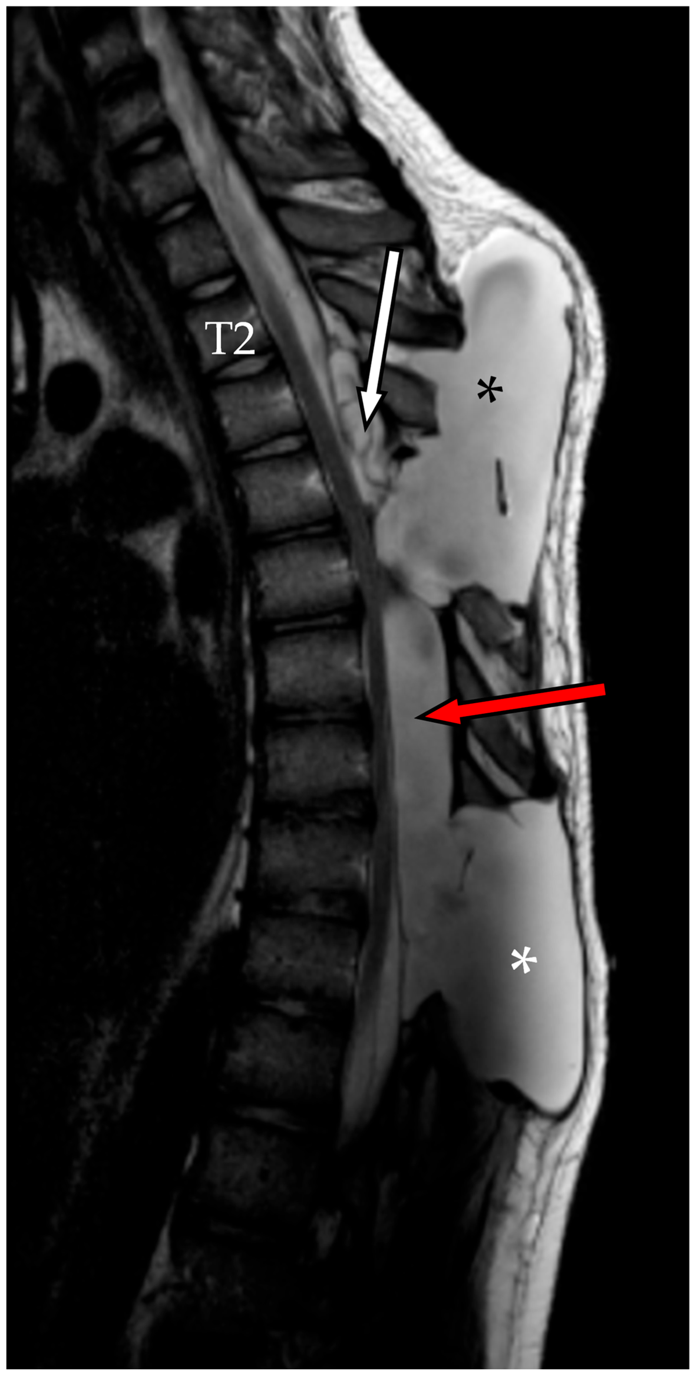 Reports 08 00152 g007