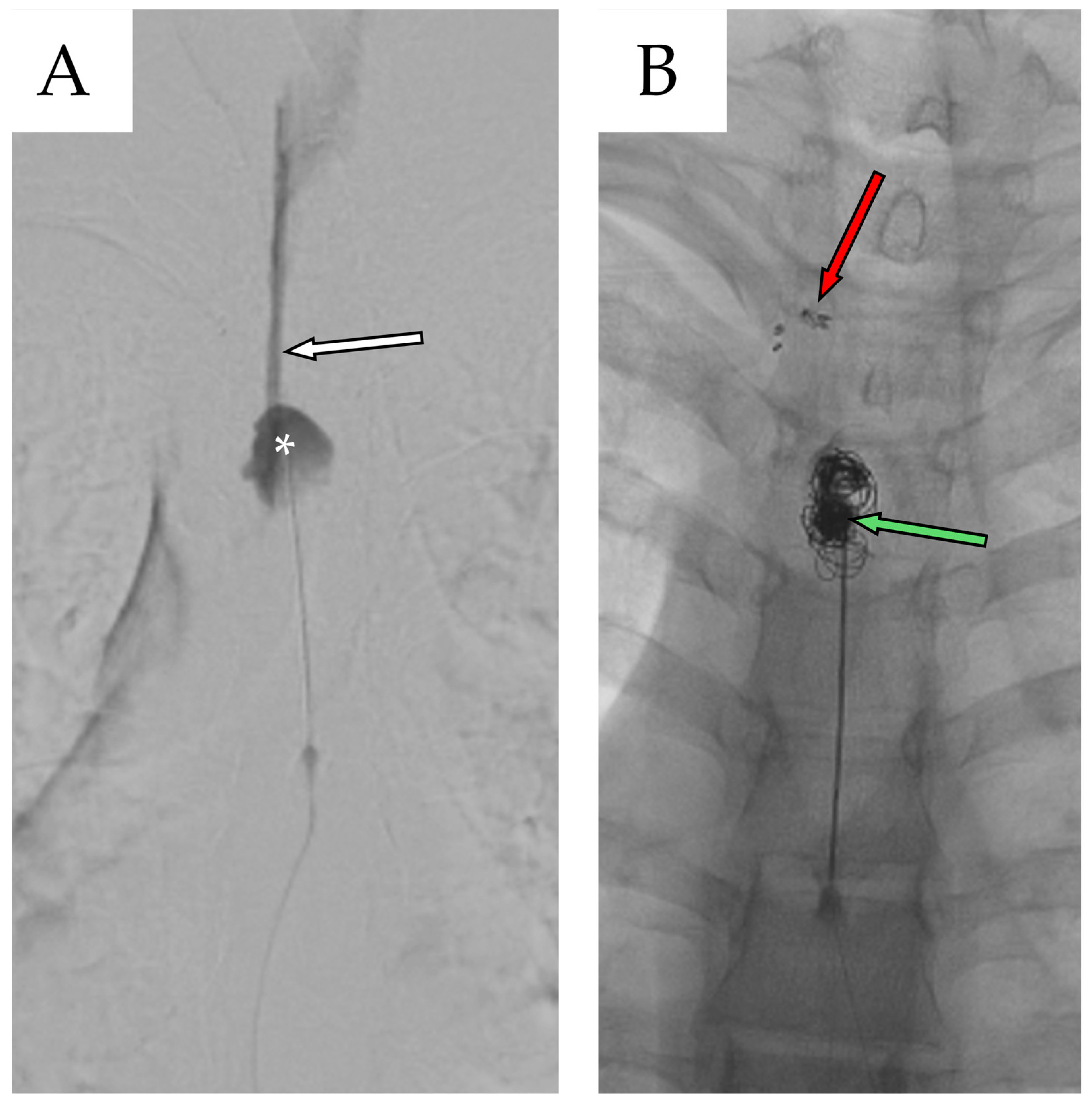 Reports 08 00152 g008