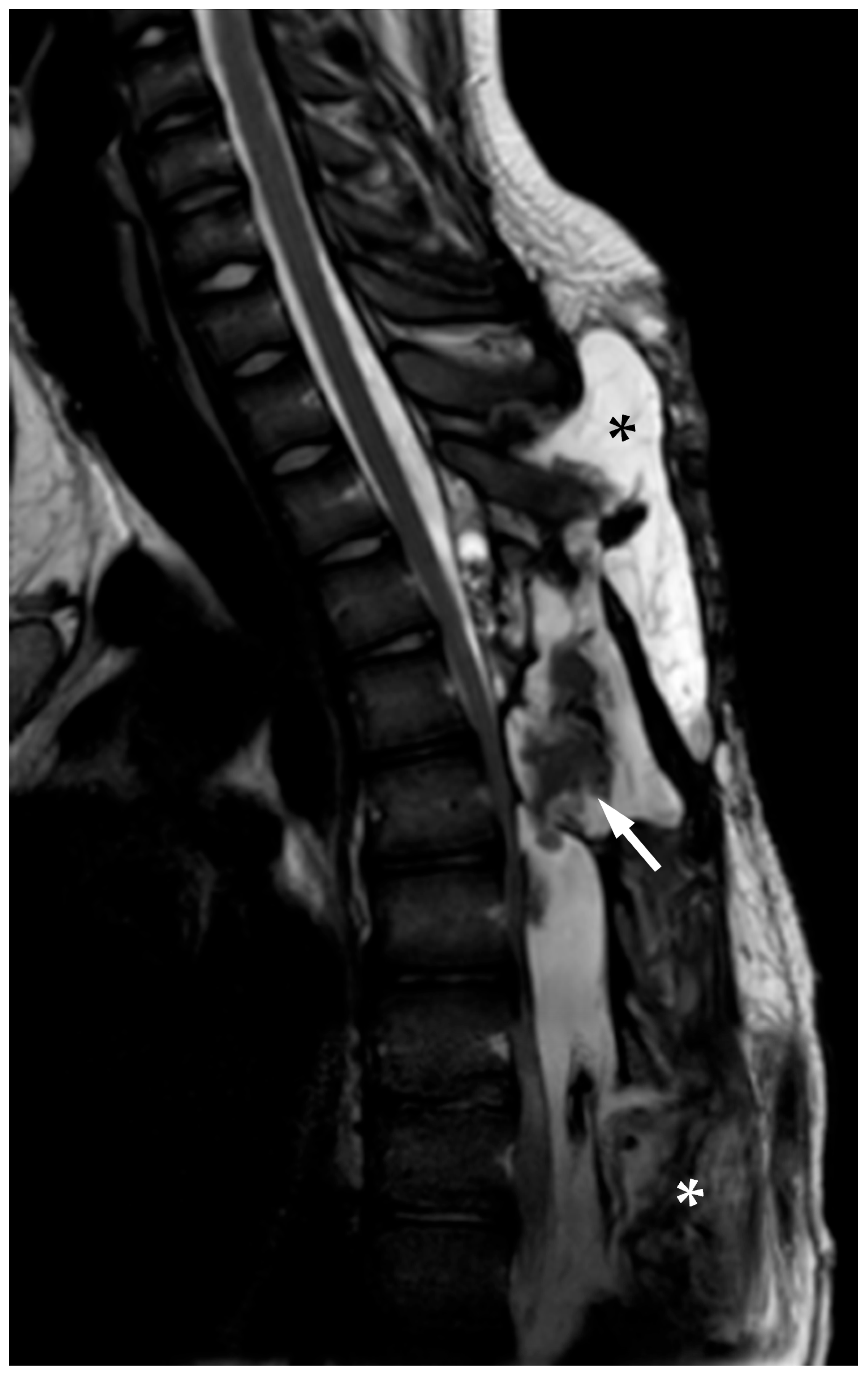 Reports 08 00152 g009