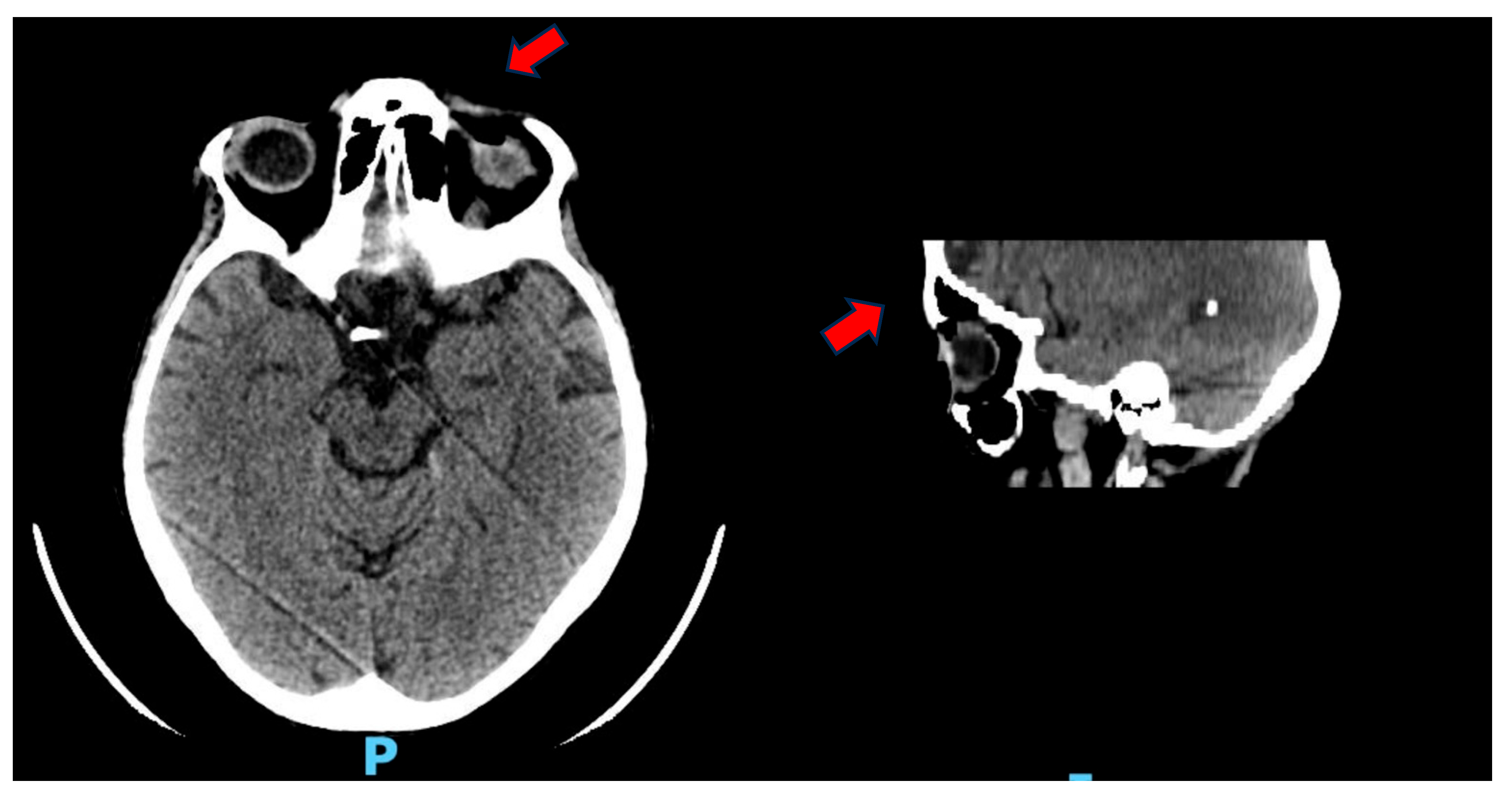 Reports 08 00154 g001 Reports 08 00154 g001