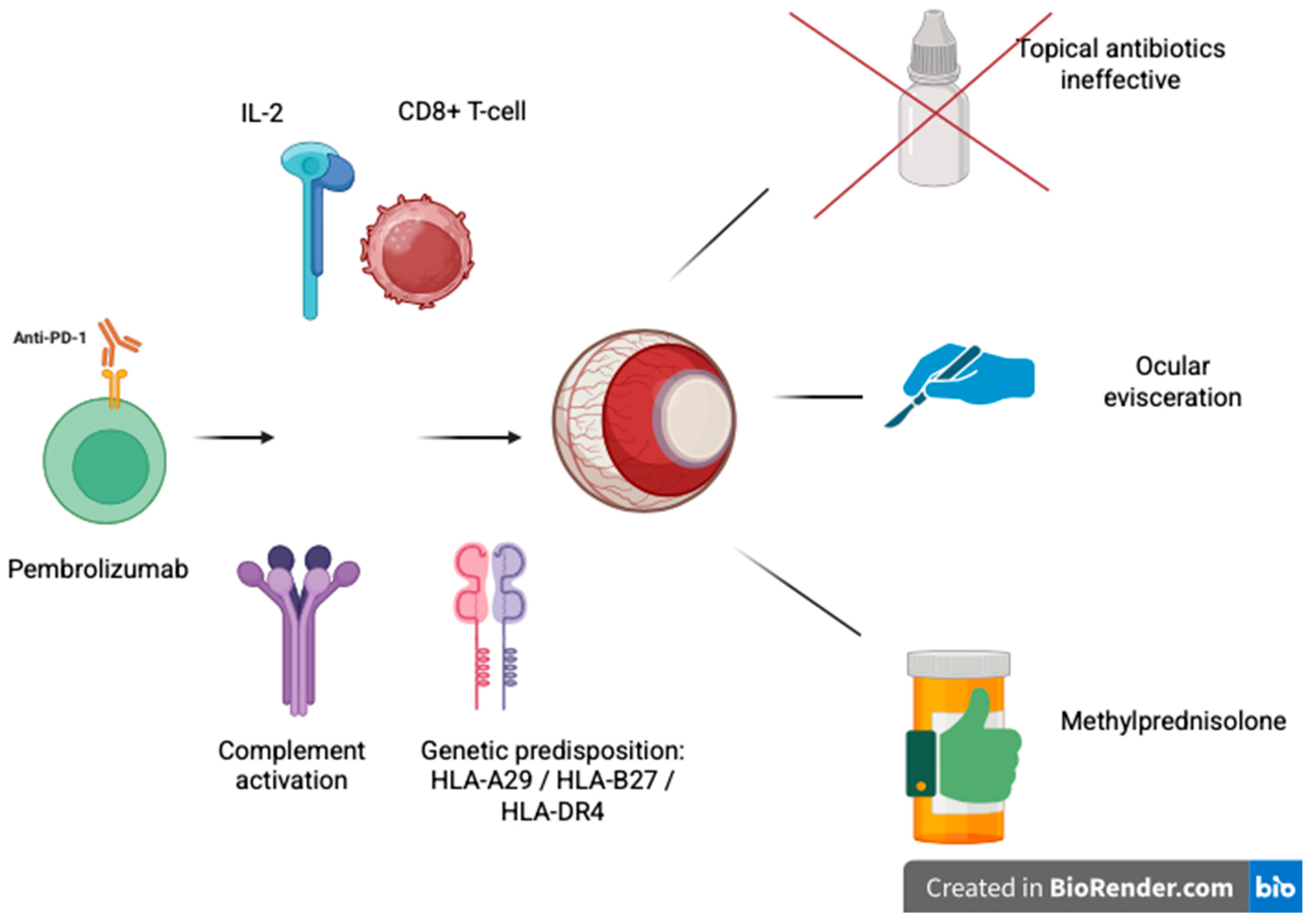 Reports 08 00154 g003 Reports 08 00154 g003