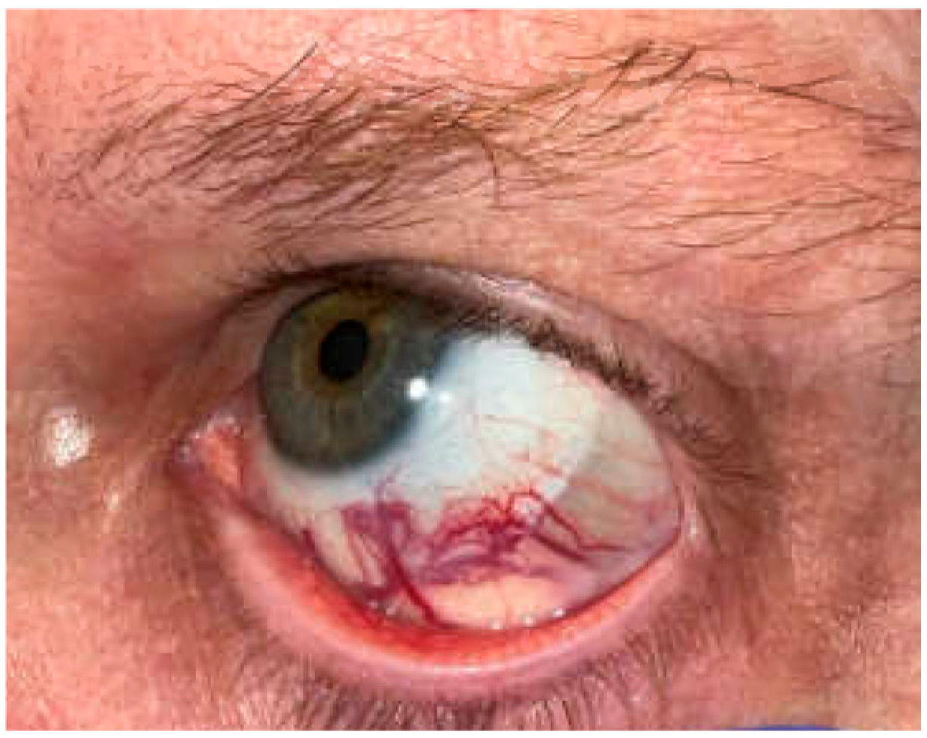 Reports 08 00158 g002 Reports 08 00158 g002