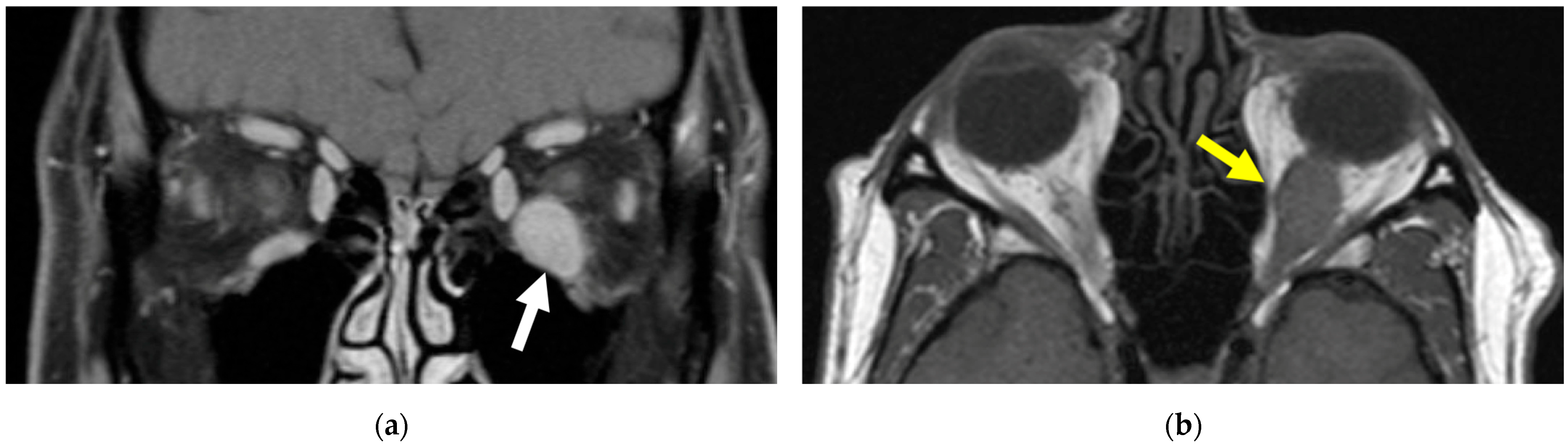 Reports 08 00158 g003 Reports 08 00158 g003