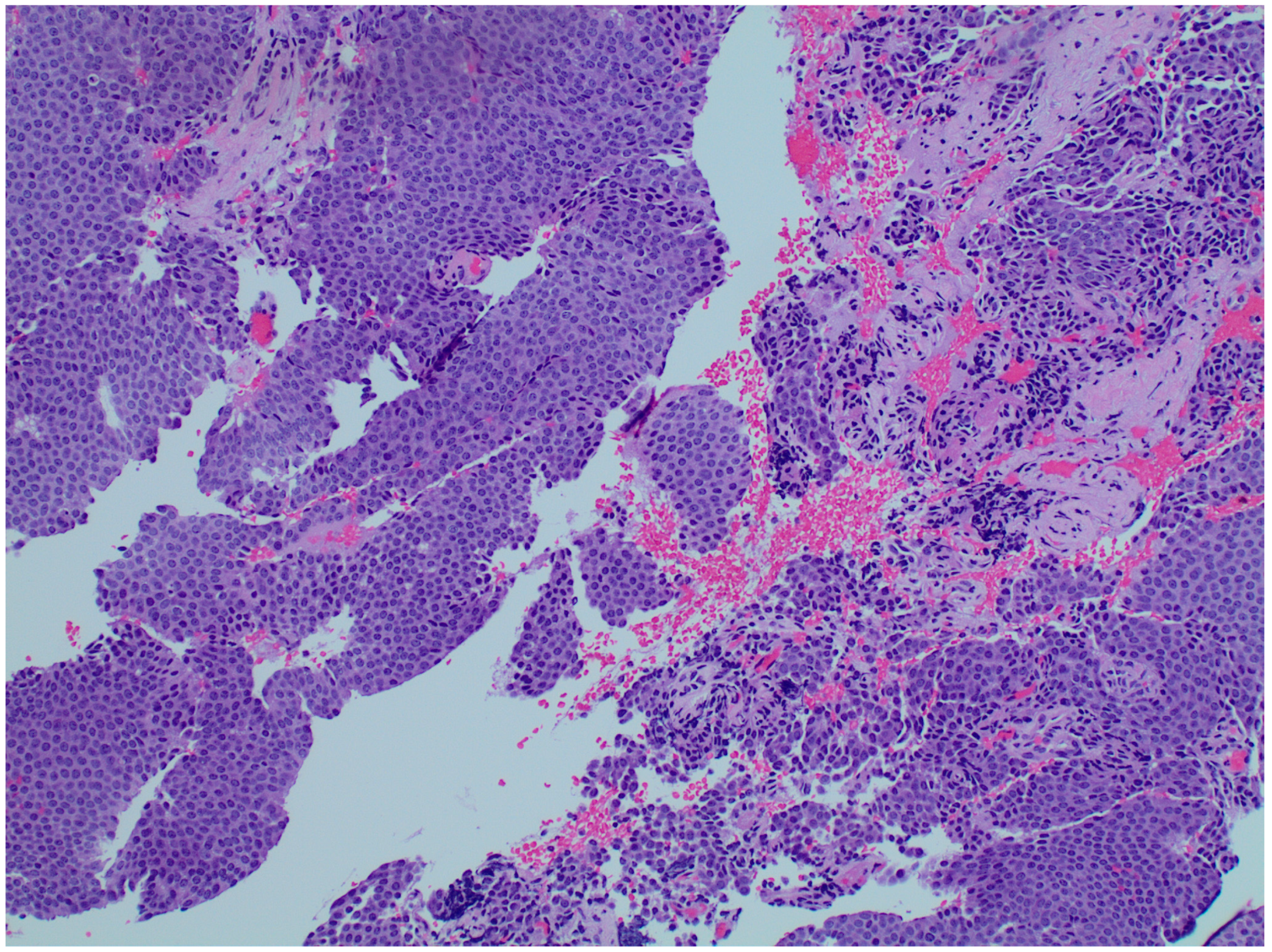 Reports 08 00158 g004 Reports 08 00158 g004