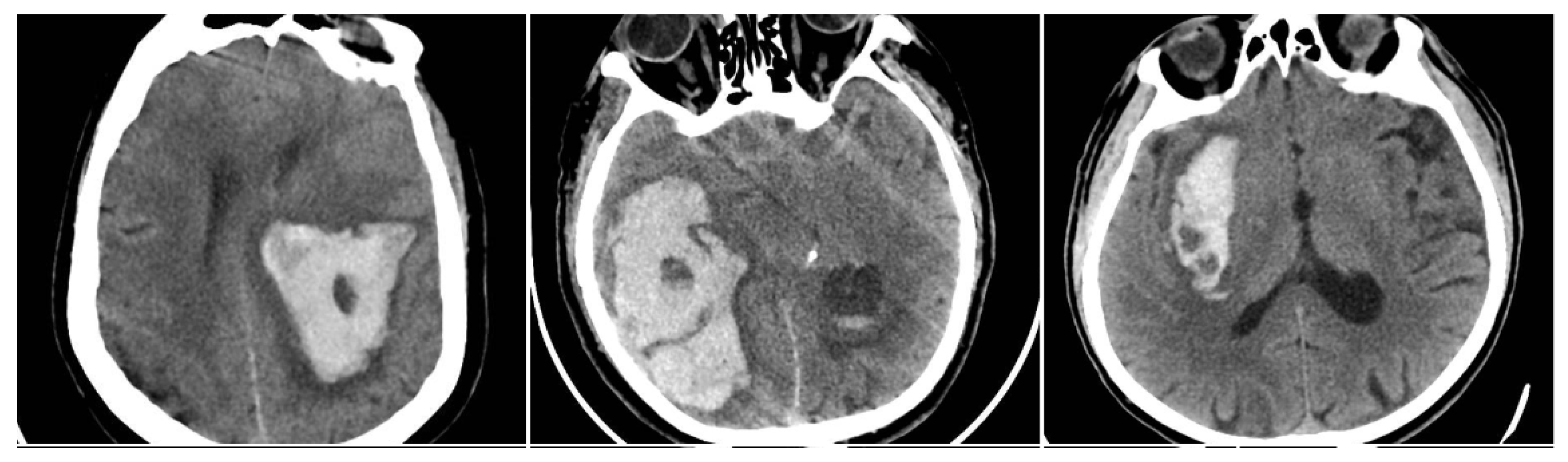 Reports 08 00159 g002