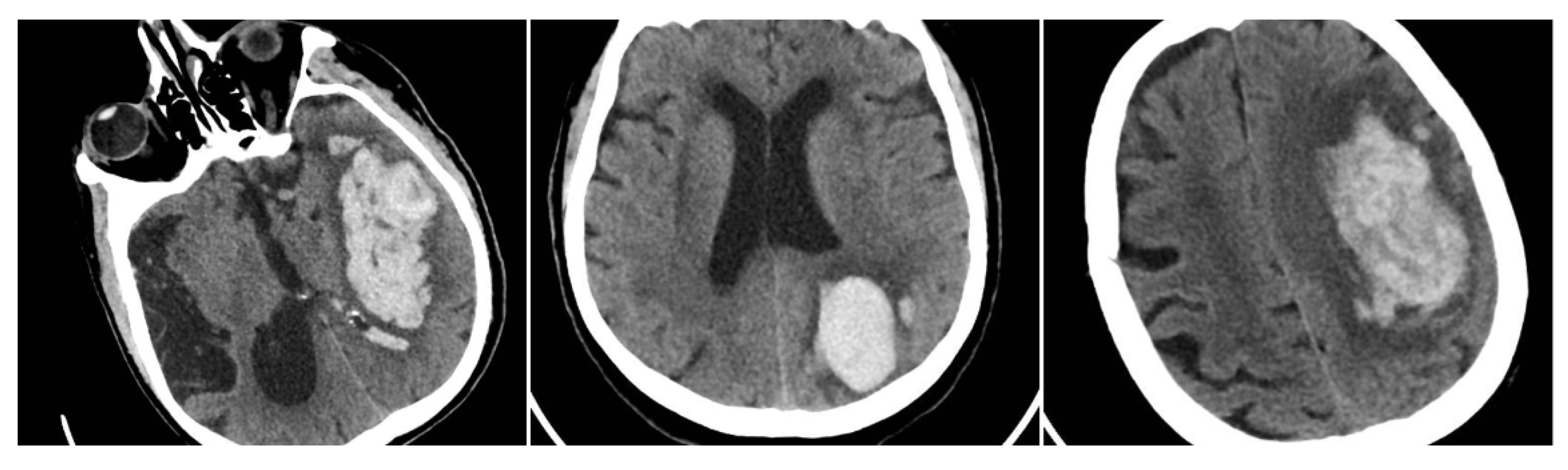 Reports 08 00159 g004