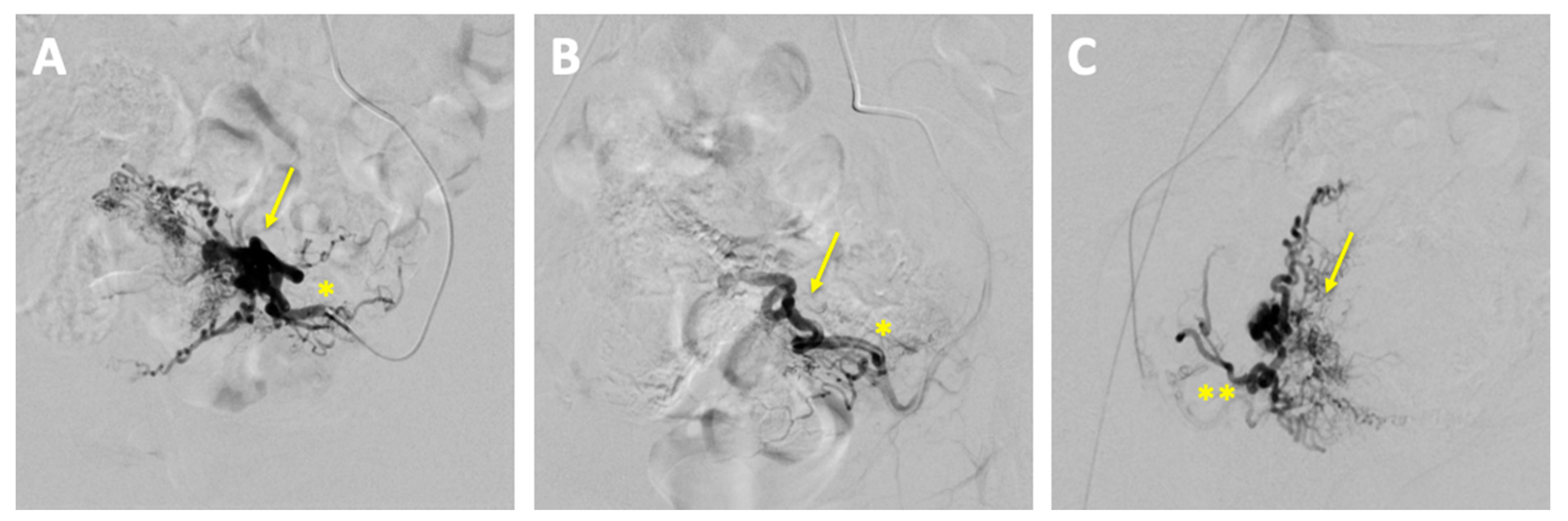 Reports 08 00161 g004