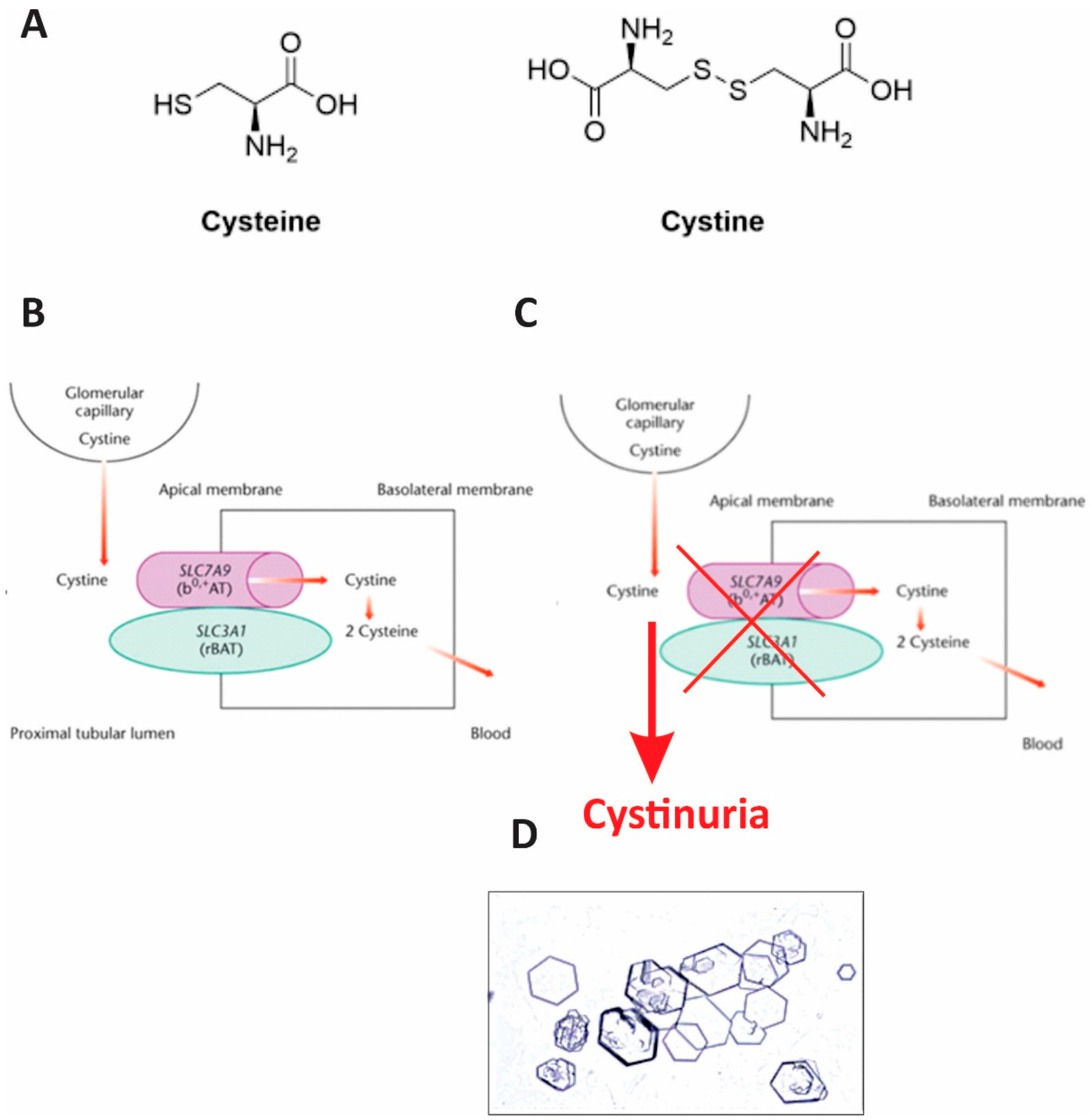 Reports 08 00163 g003