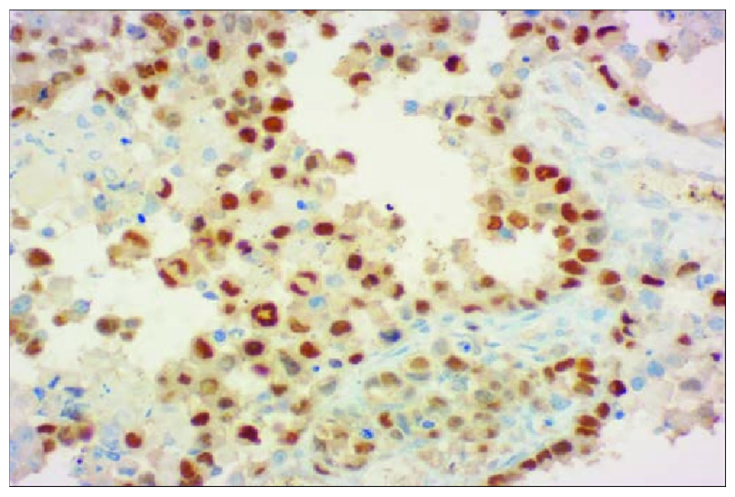 Reports 08 00166 g002 Reports 08 00166 g002