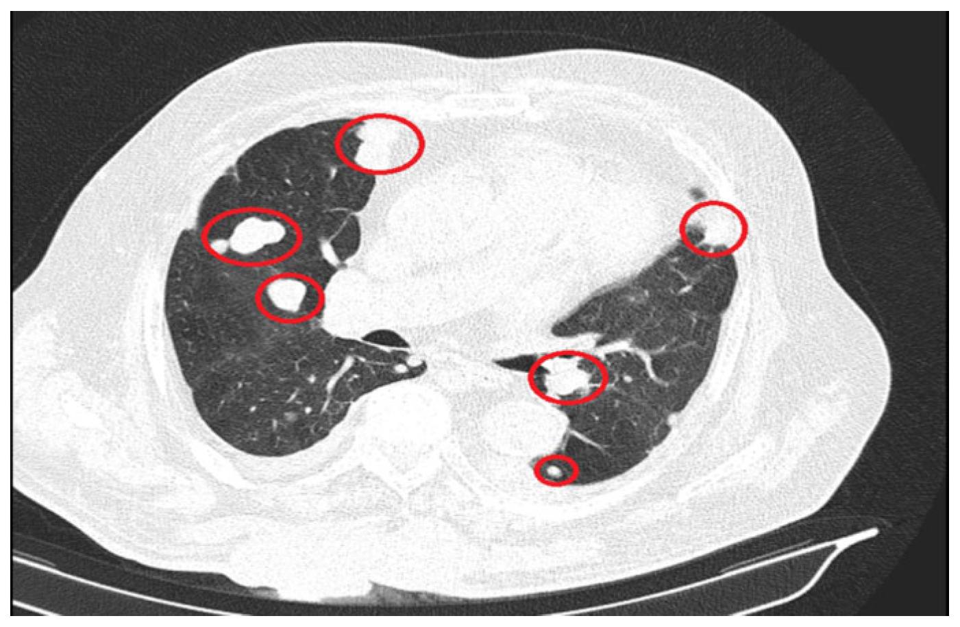 Reports 08 00166 g004 Reports 08 00166 g004