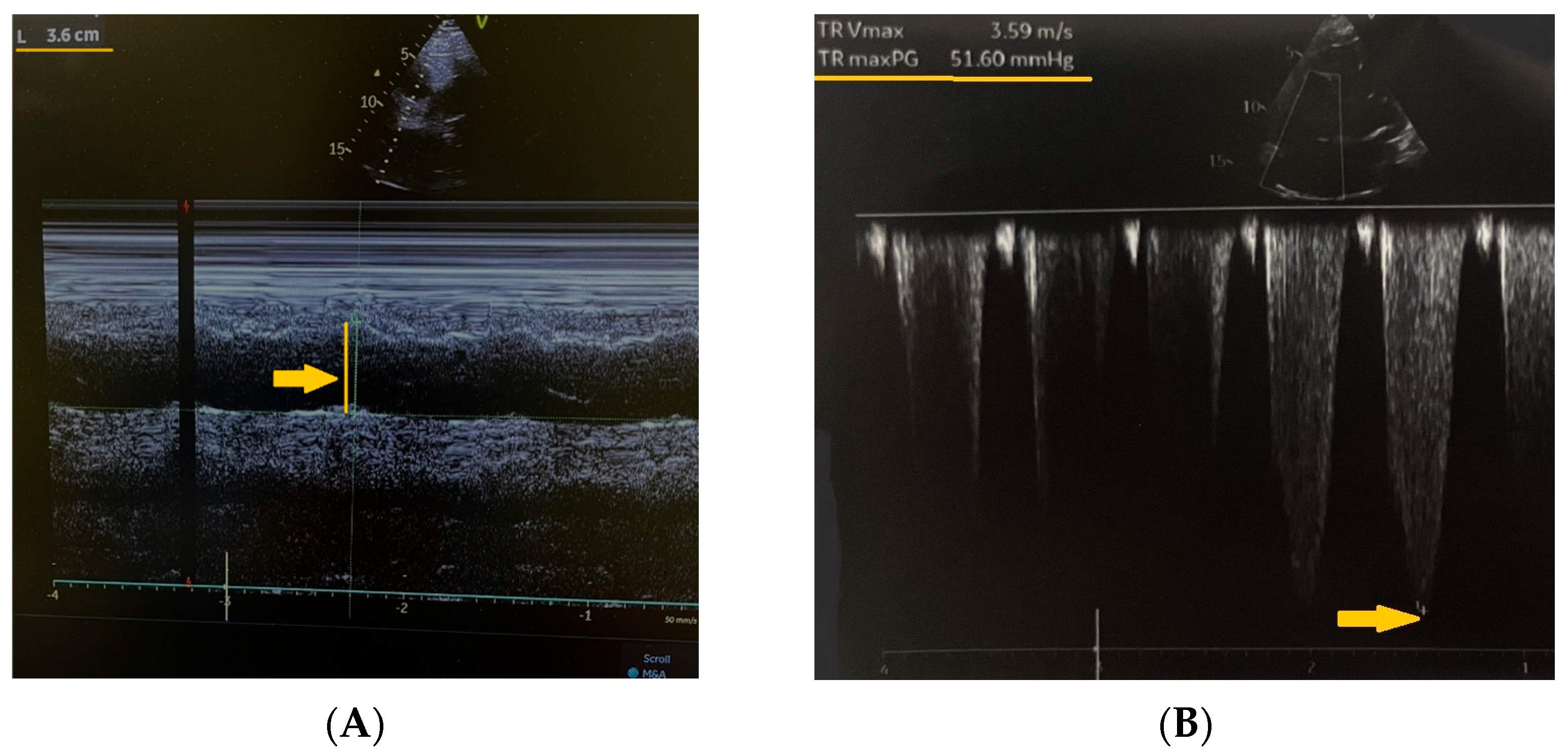 Reports 08 00167 g002