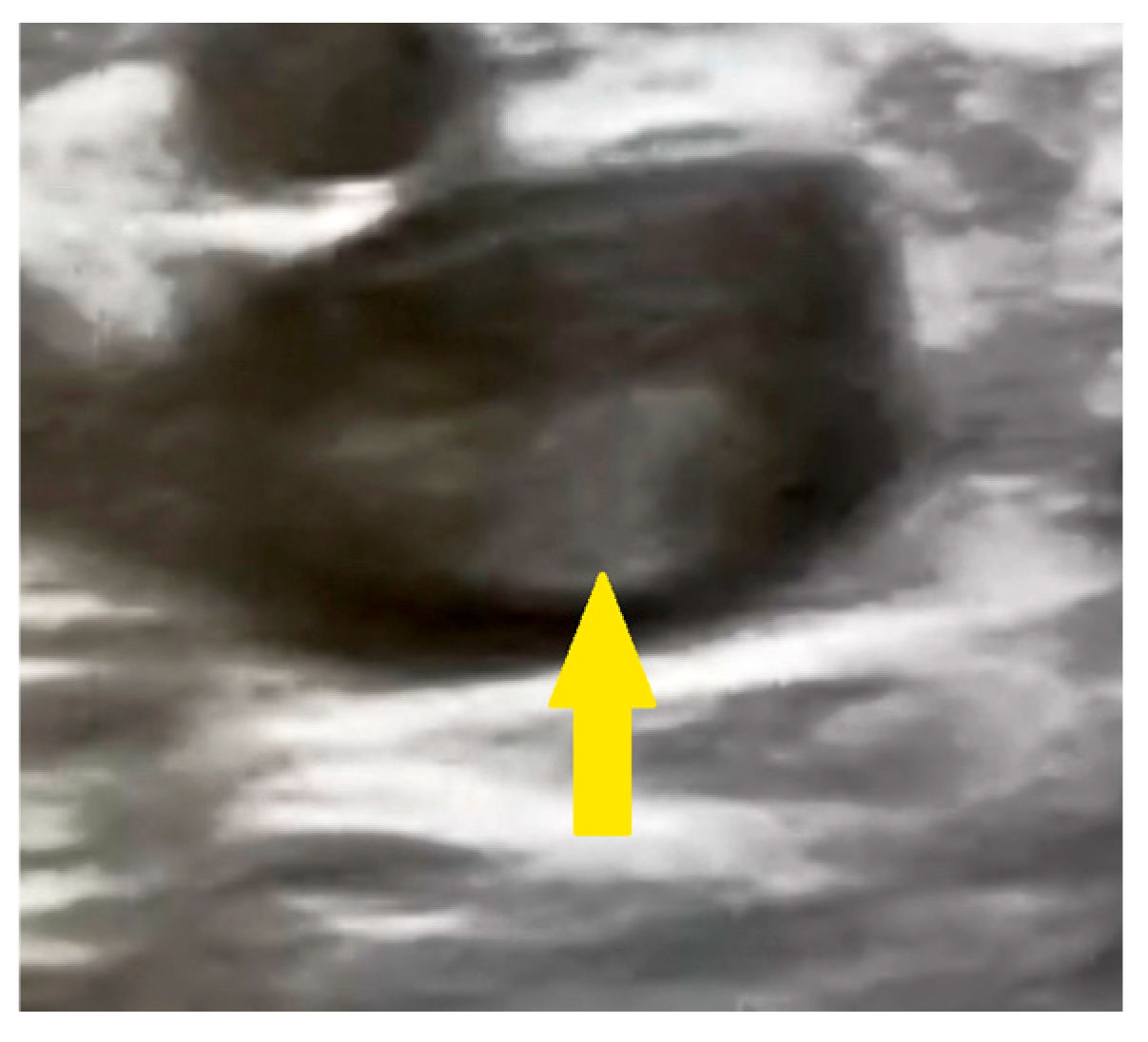 Reports 08 00167 g003