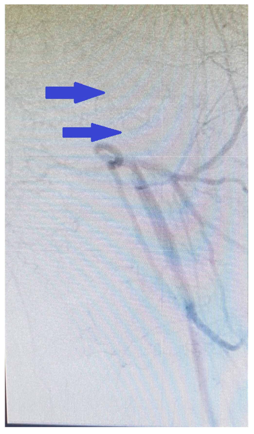 Reports 08 00167 g008