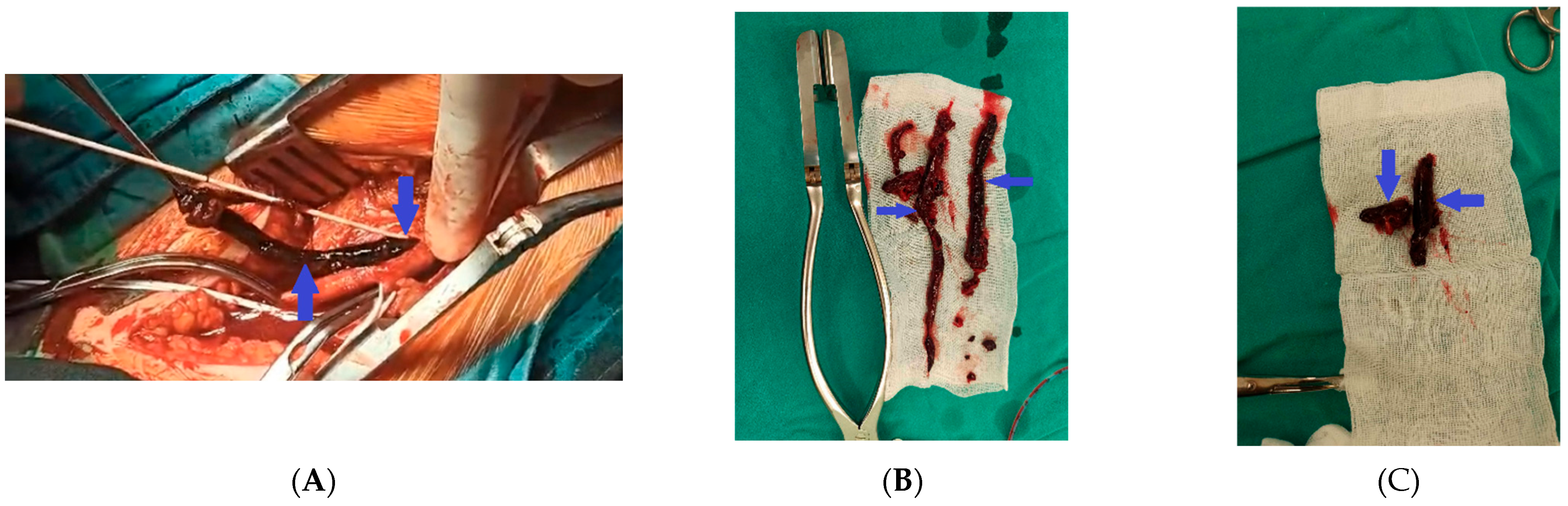 Reports 08 00167 g009