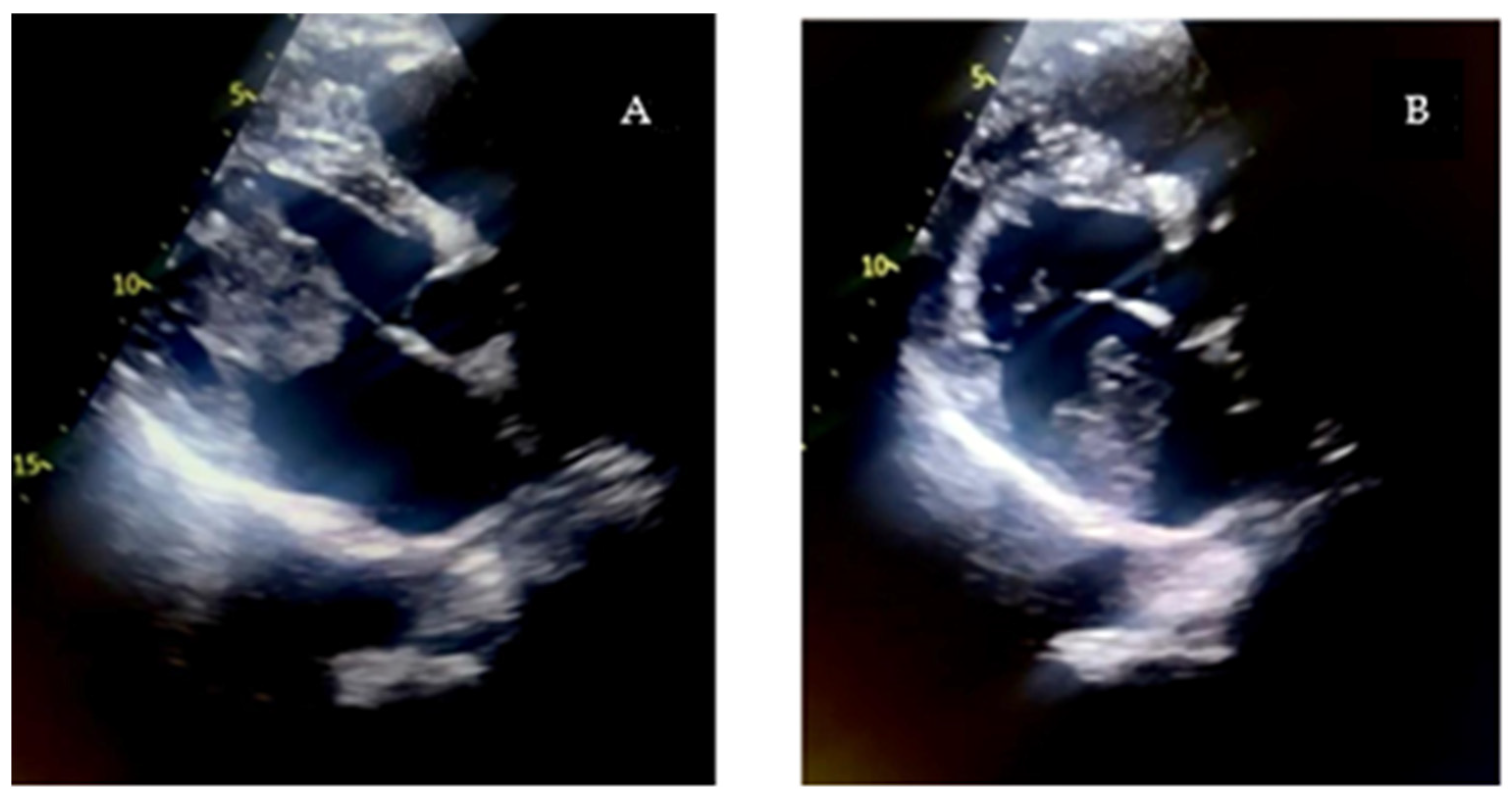 Reports 08 00170 g001