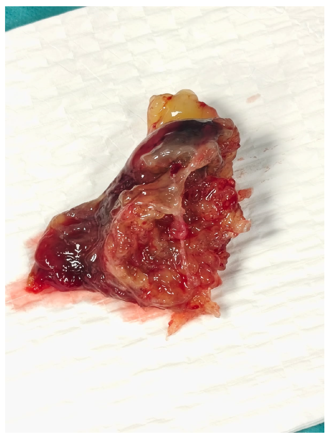 Reports 08 00170 g003