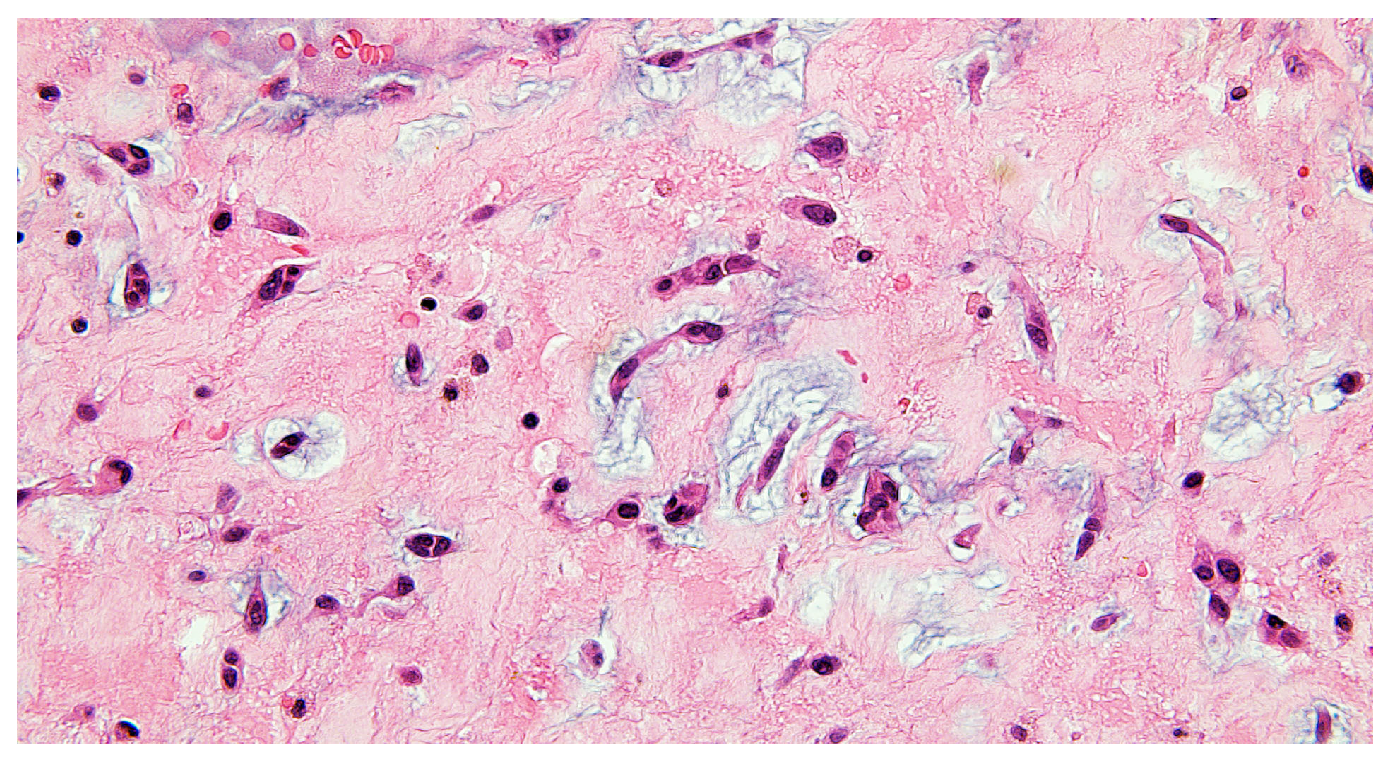 Reports 08 00170 g004