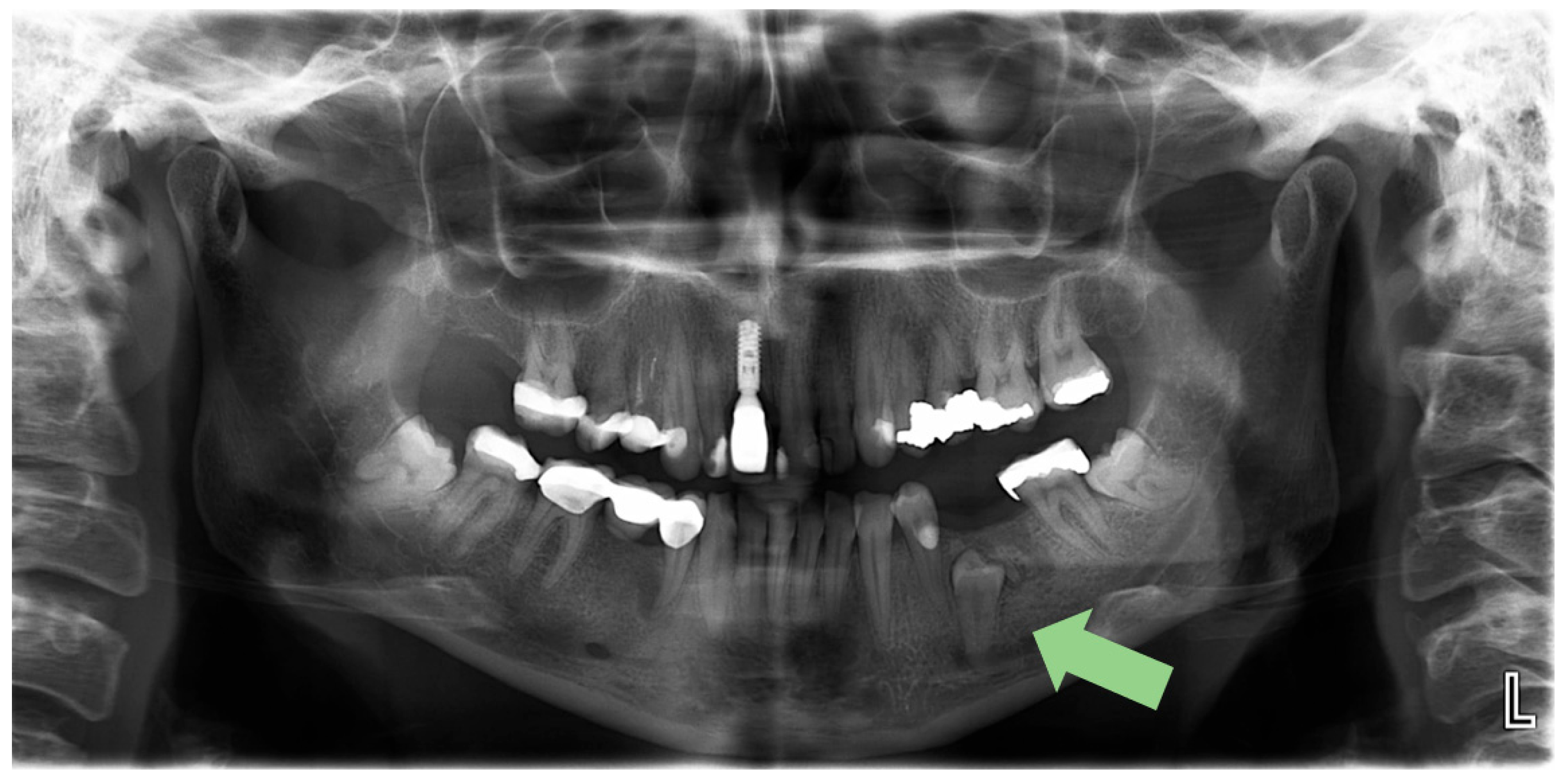 Reports 08 00177 g001