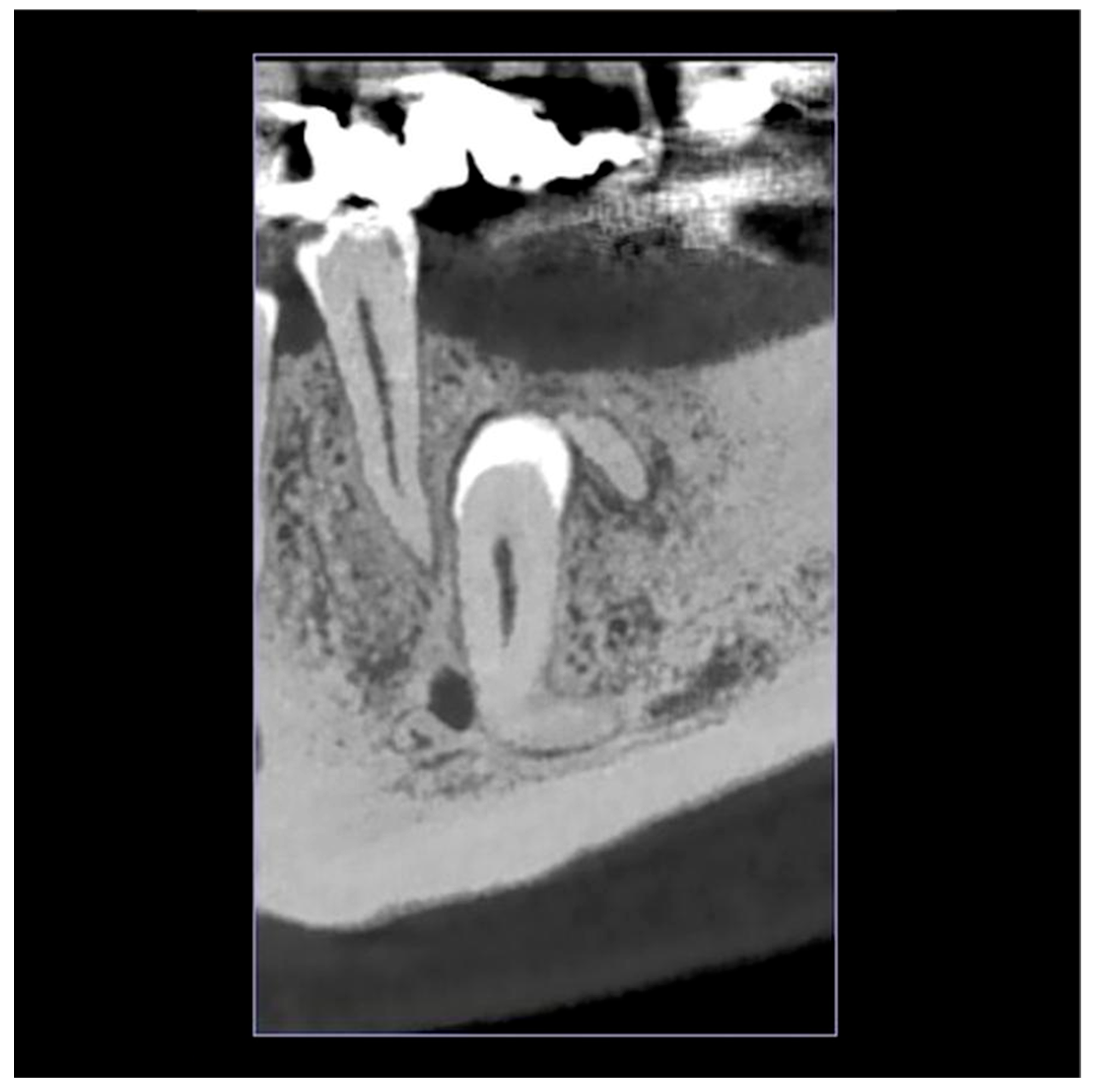 Reports 08 00177 g002