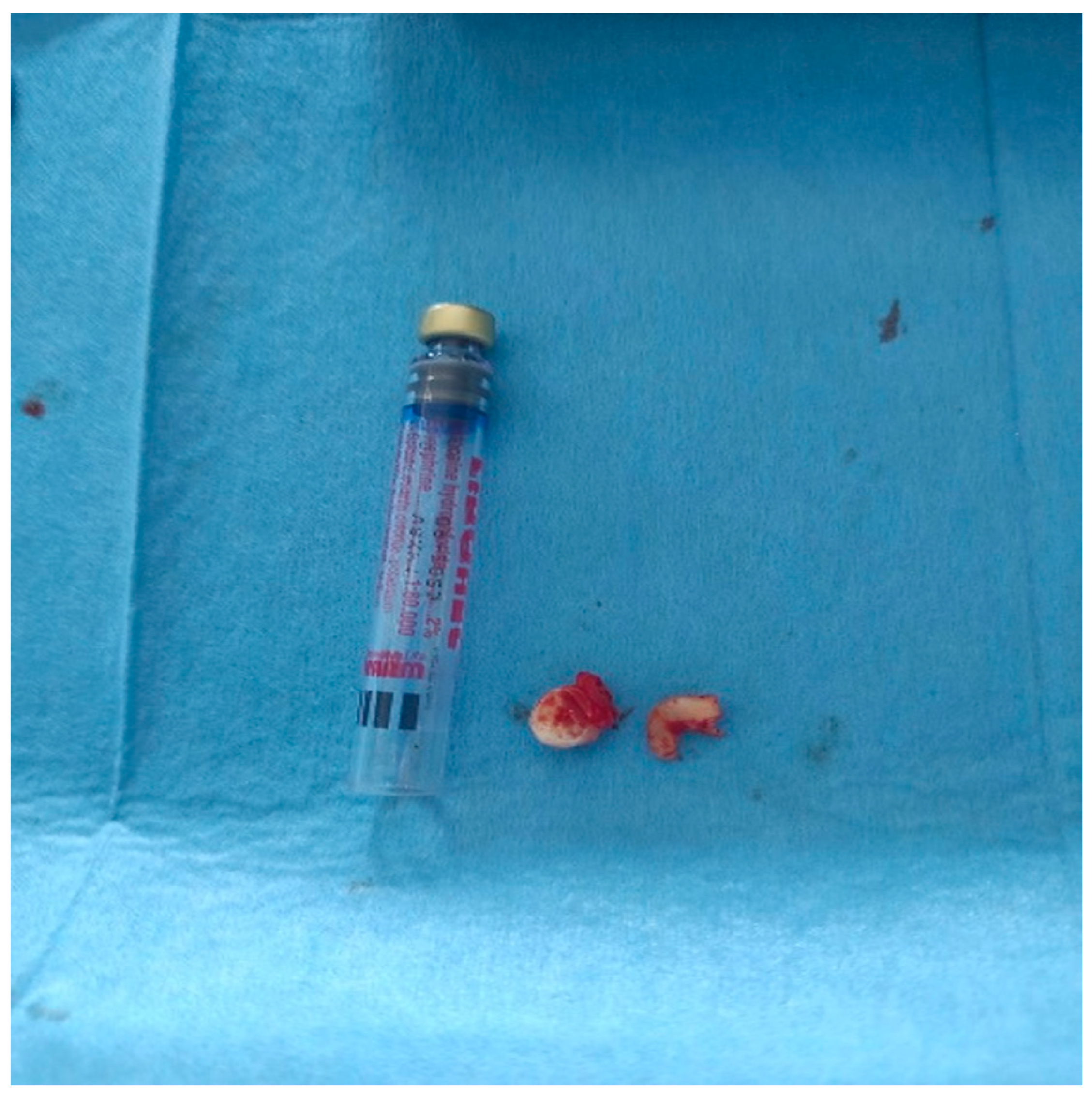 Reports 08 00177 g003