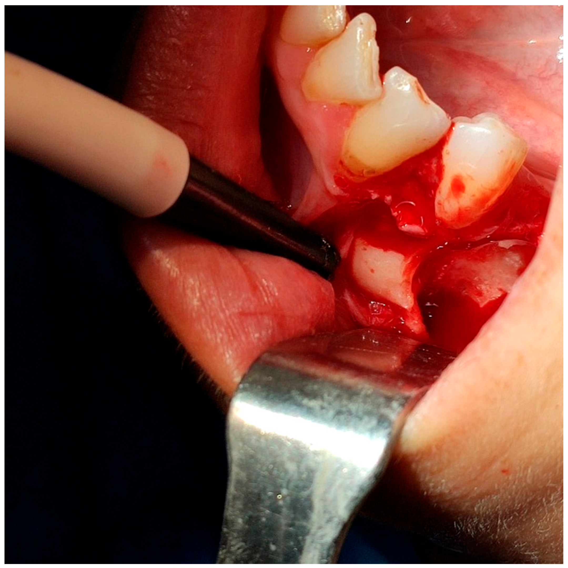 Reports 08 00177 g004